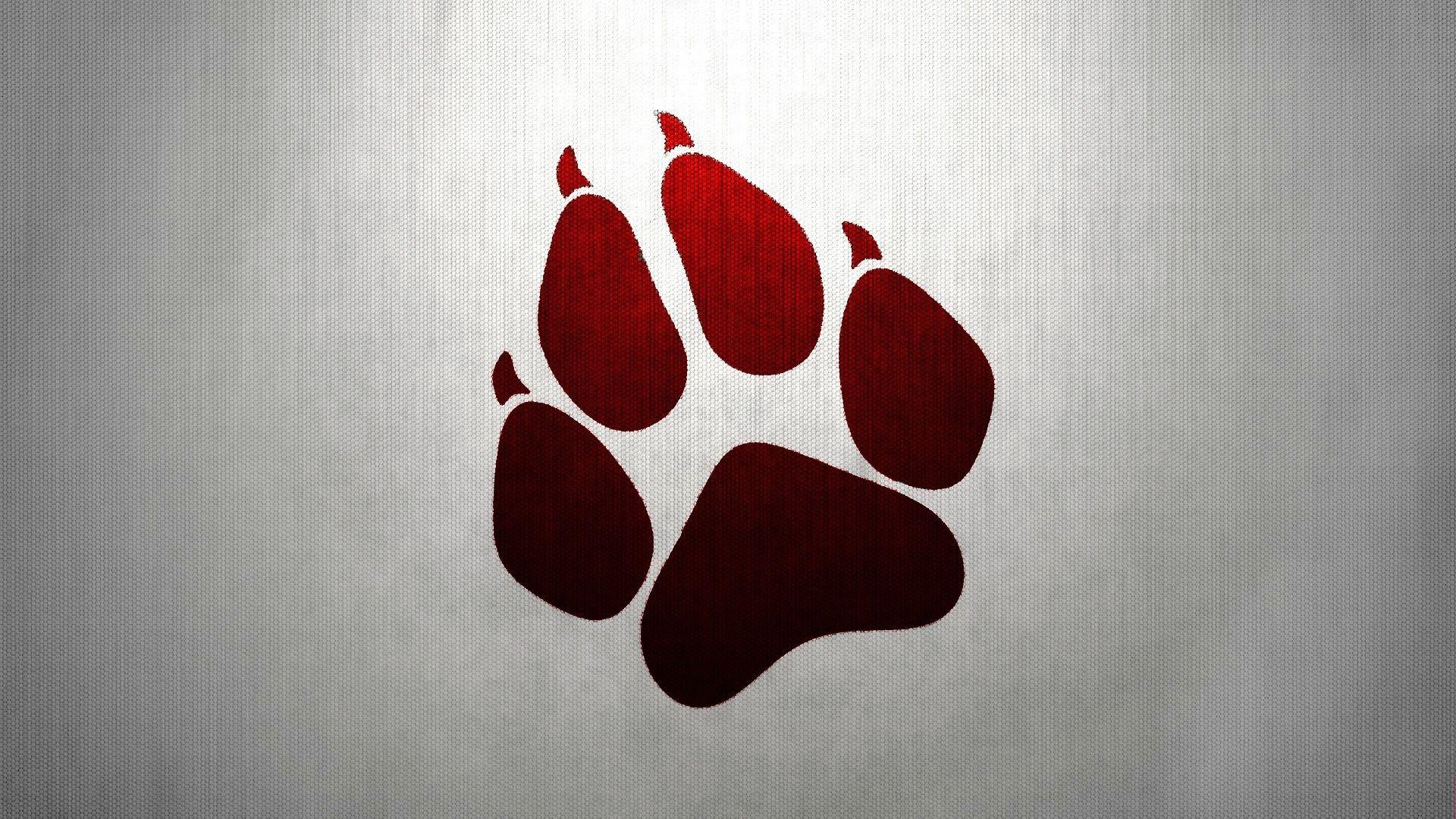 Red Wolf Paw HD Red Wolf Paw wallpaper for desktop