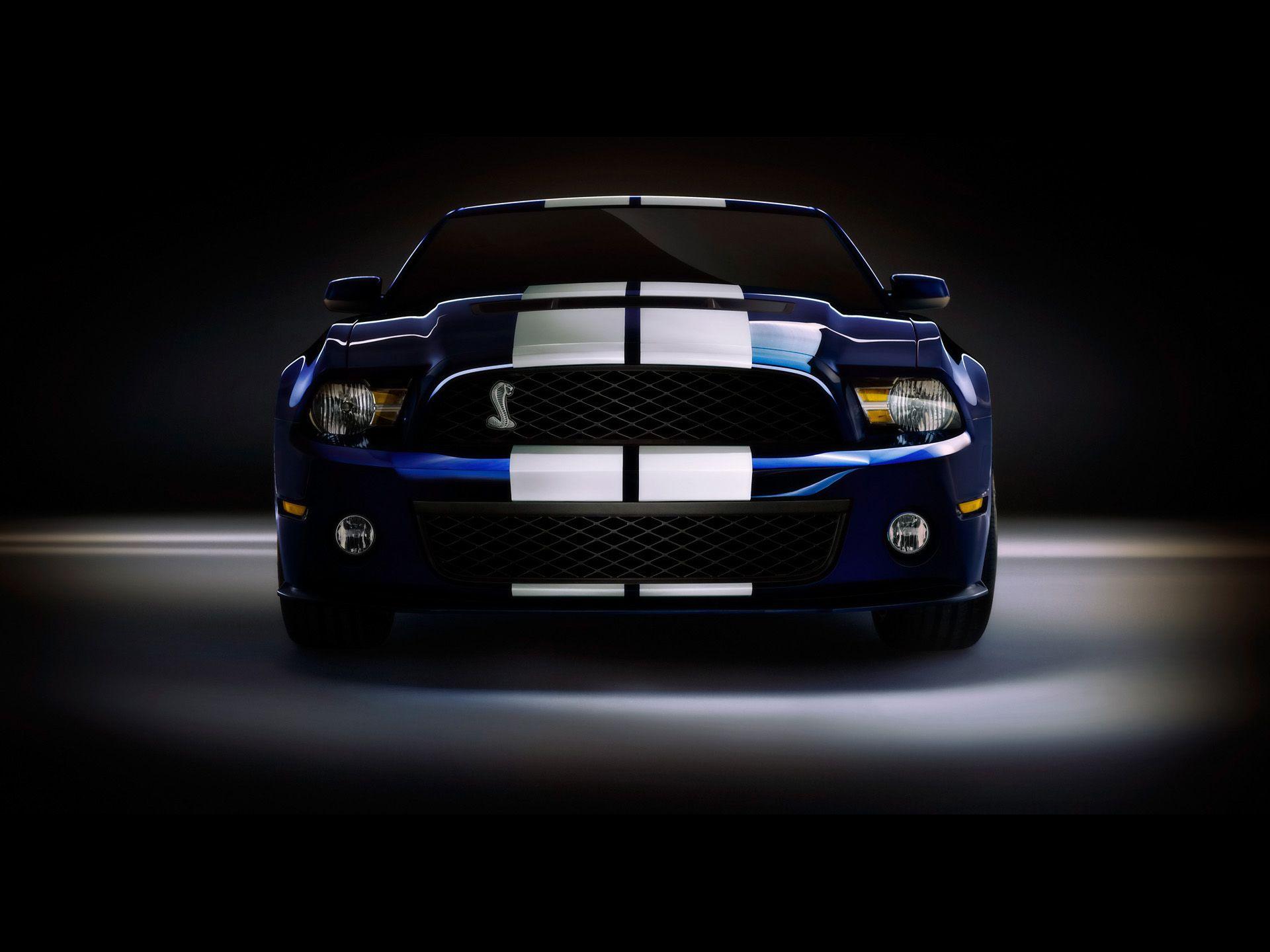 Ford Shelby GT500 Studio