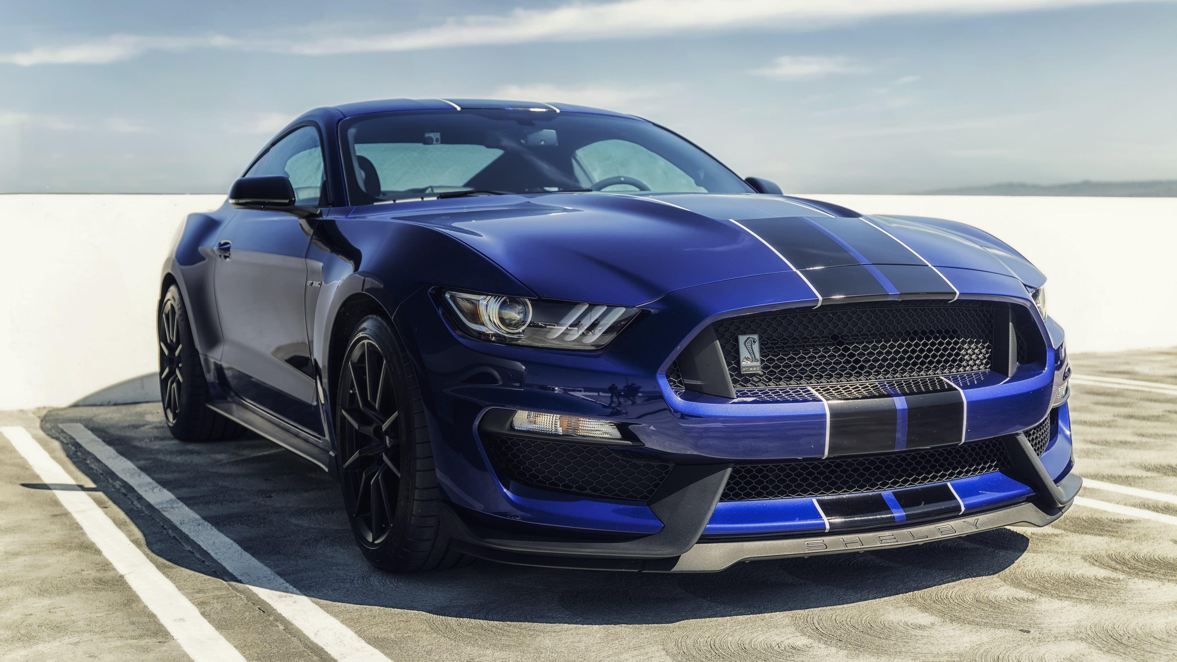 ford mustang shelby gt350 blue mustang sports cars 4k widescreen