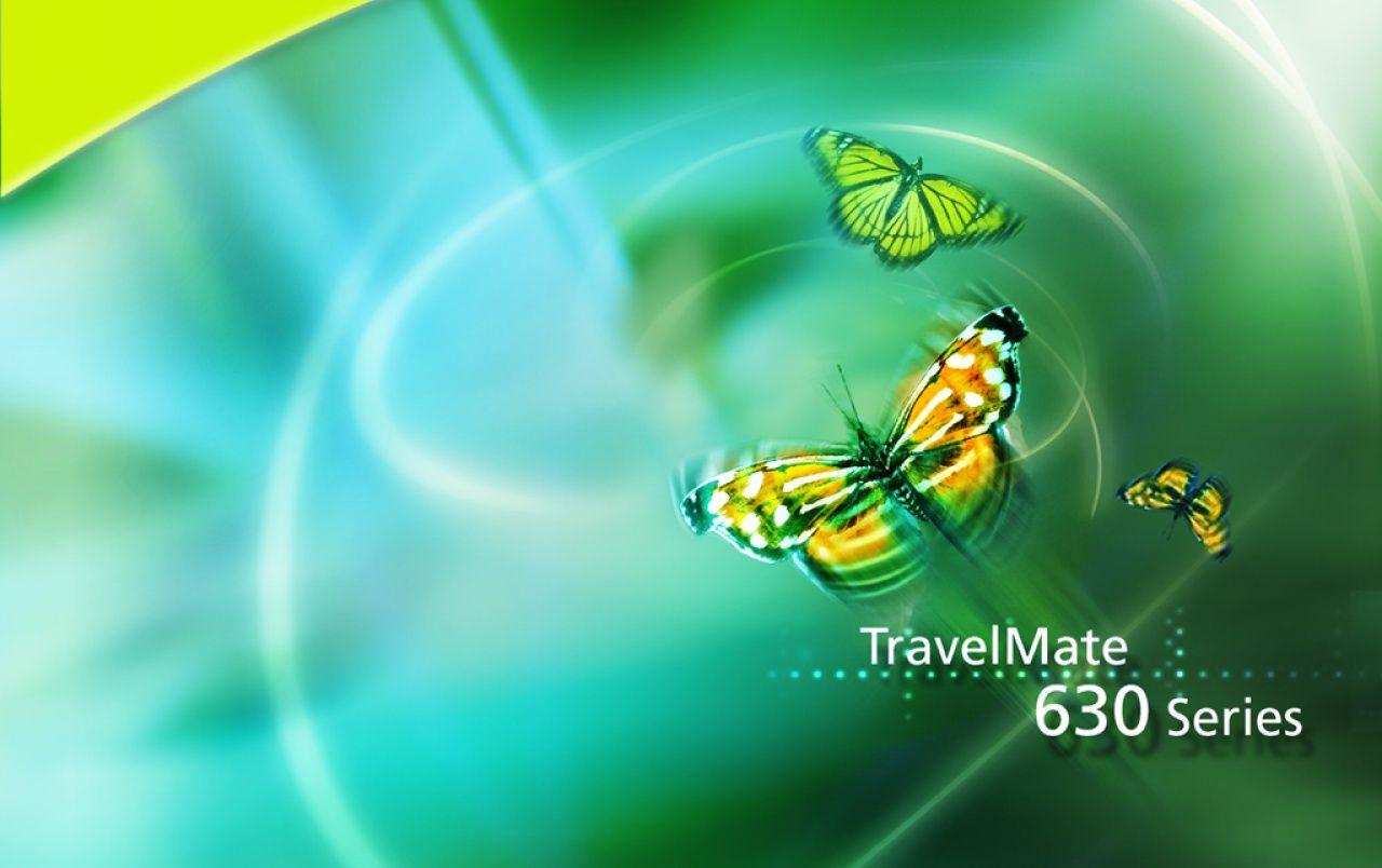 Acer butterfly wallpaper. Acer butterfly