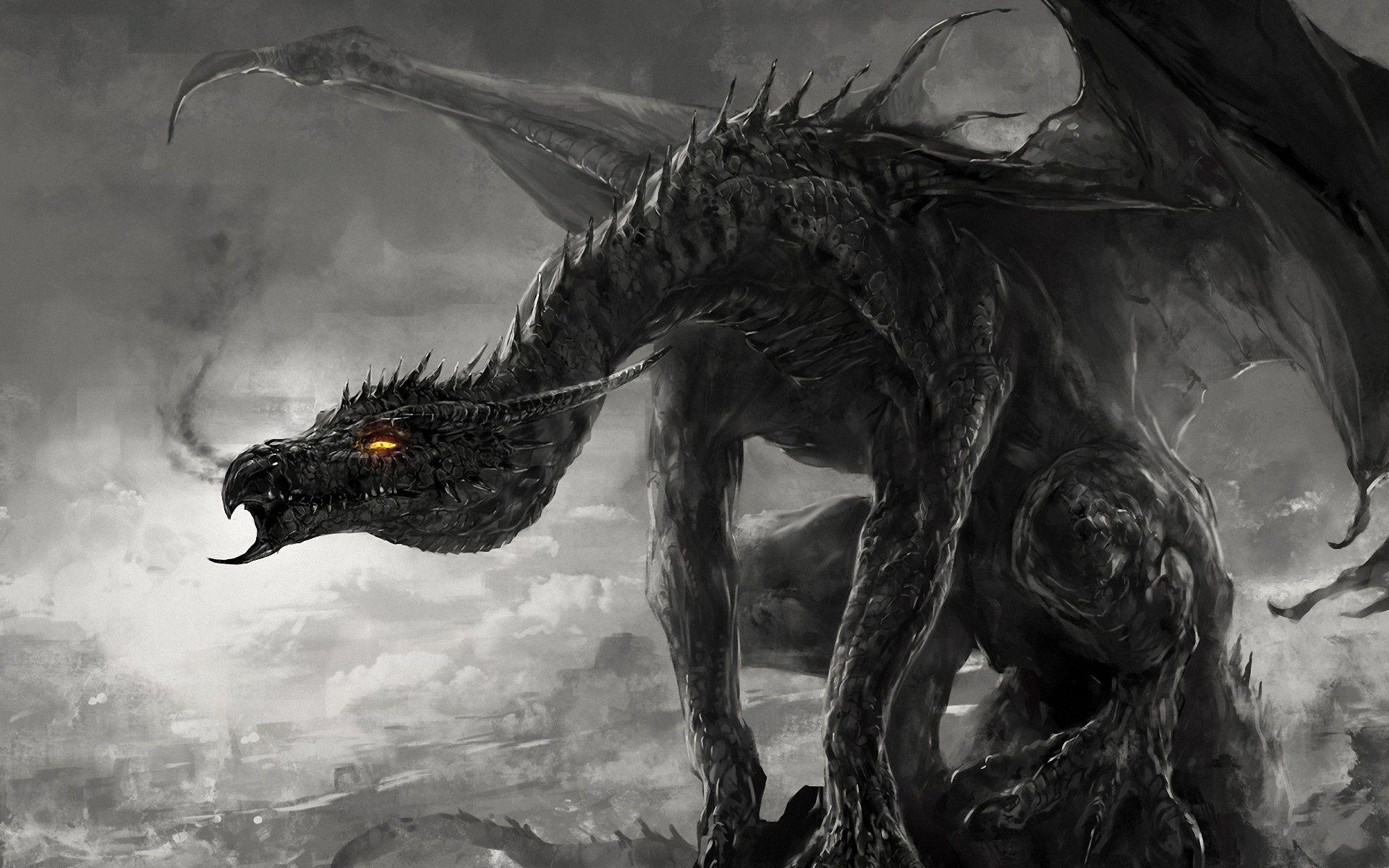 Black White Dragon HD Picture 05976