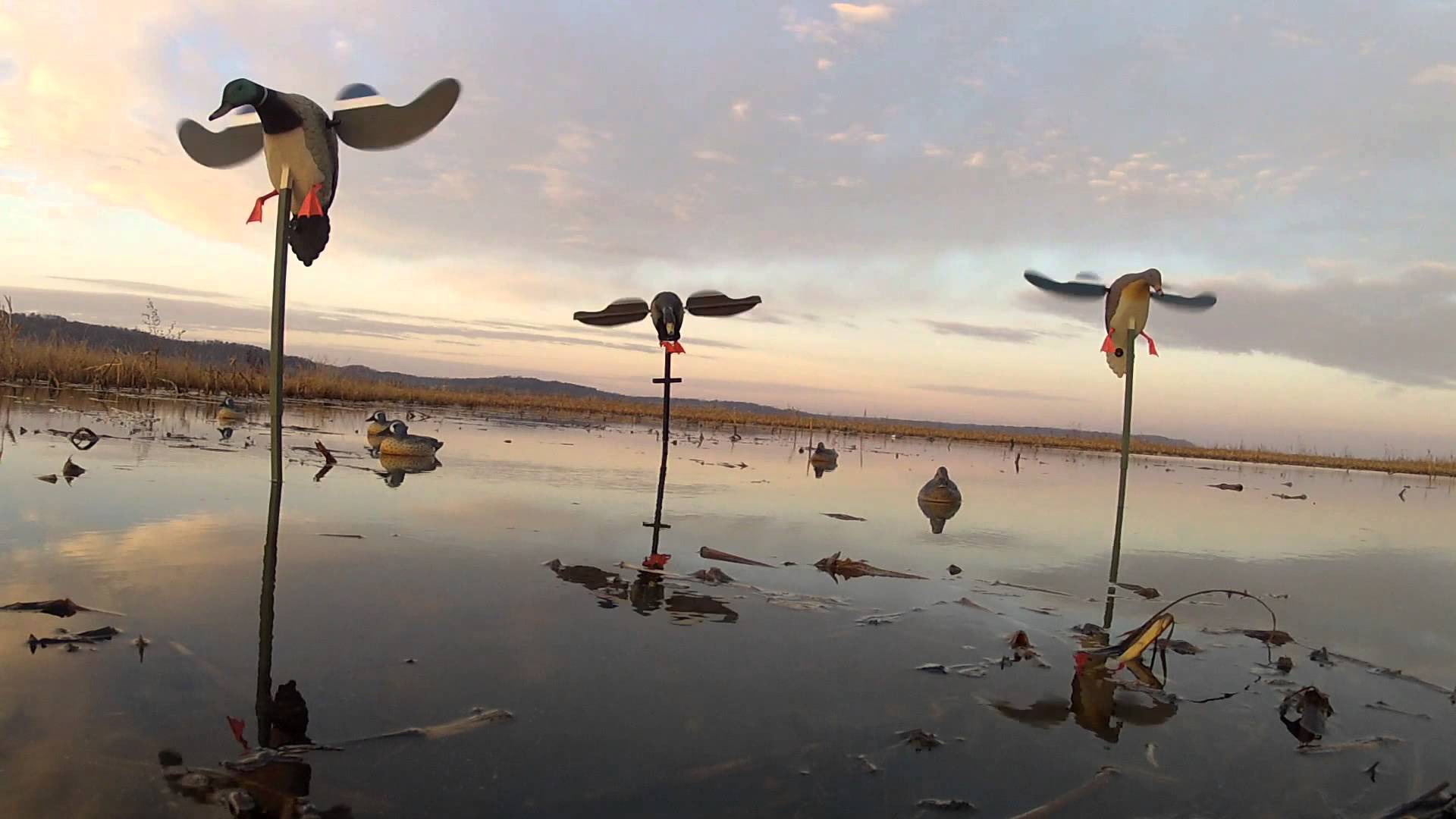 GoPro Shotgun Mount Duck Hunt and iPhone App Controlled GoPro