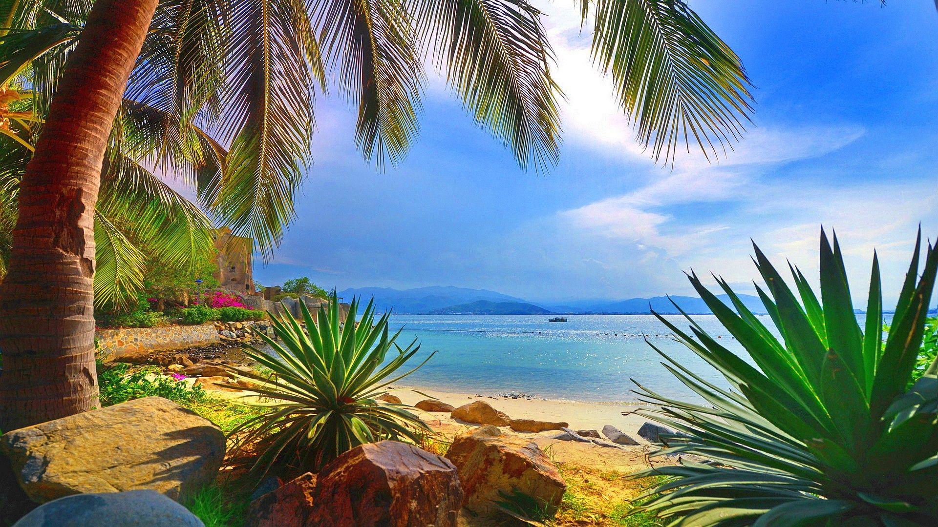 3d beach wallpaper desktop