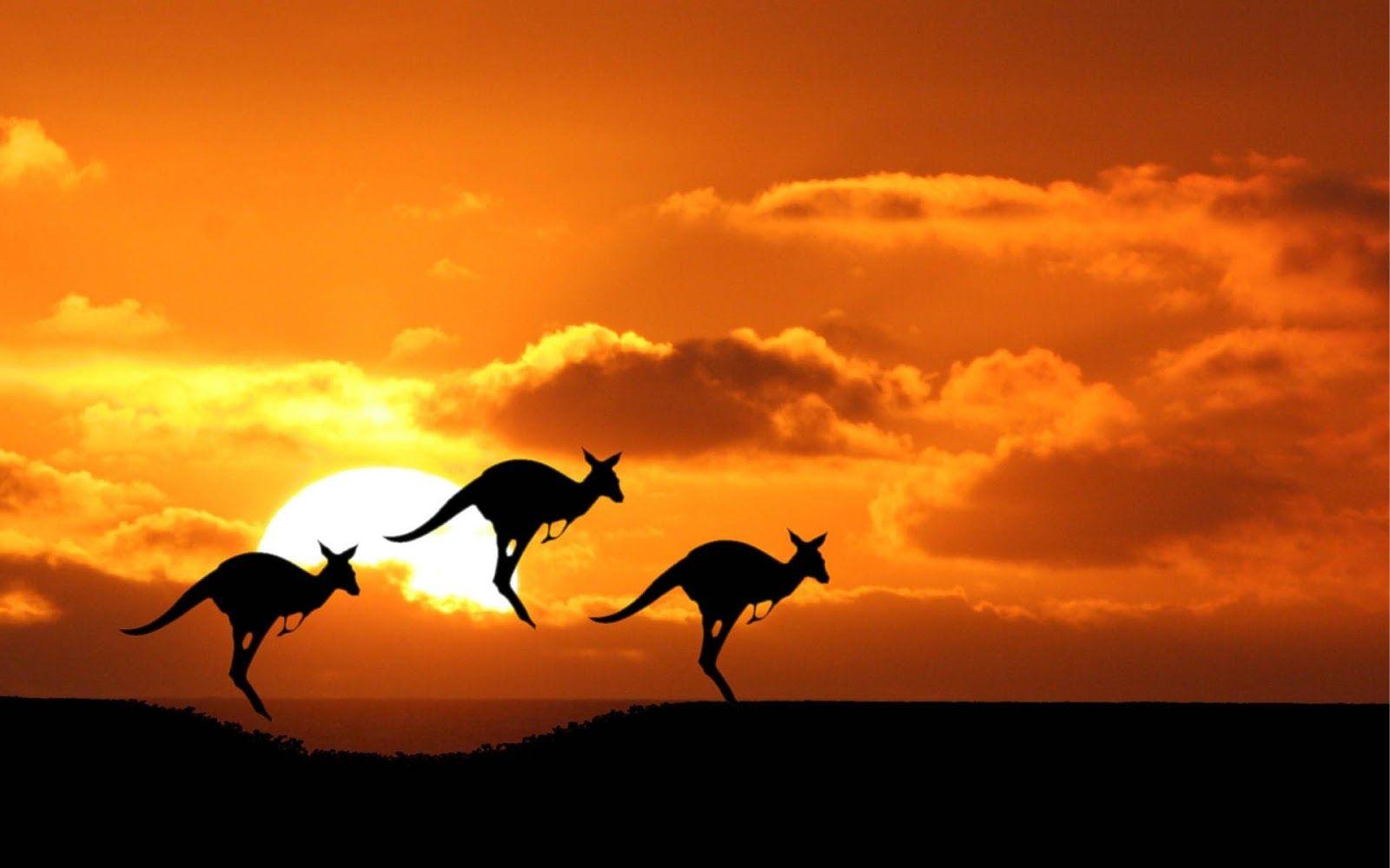 Australia Wallpaper (24)