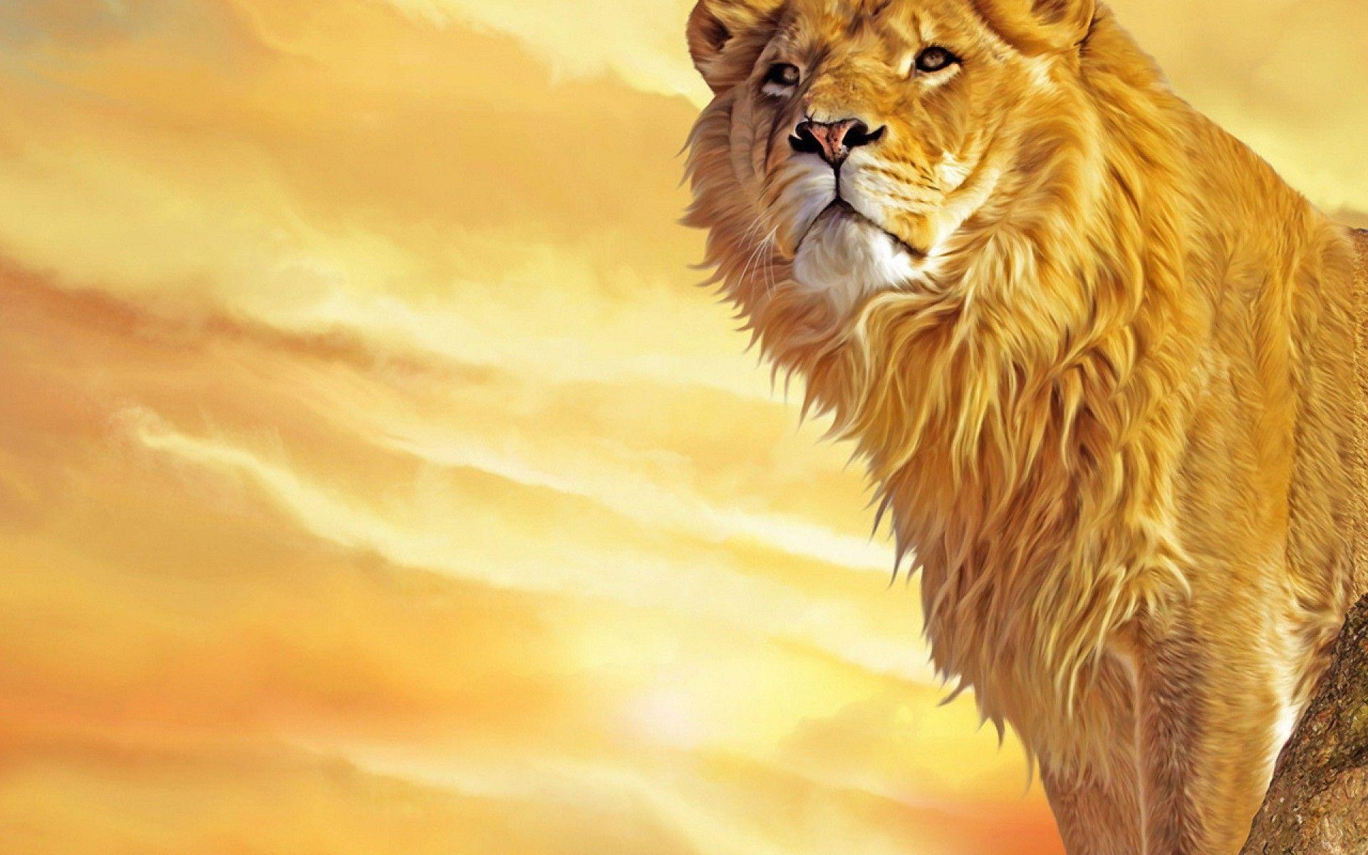 Lion Full Pics Site Awesome Lion singa 3d HD wallpaper  Pxfuel