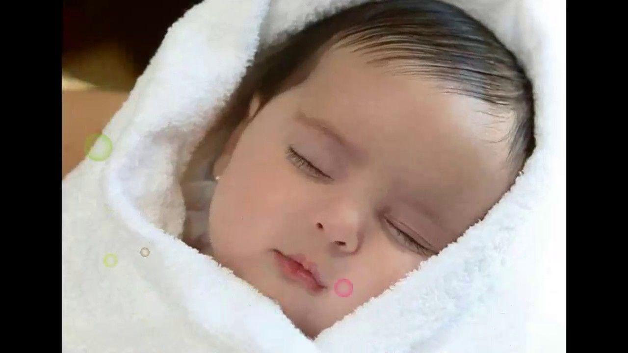 Download Good Night Videos WhatsApp Video, Best Wishes Video clips