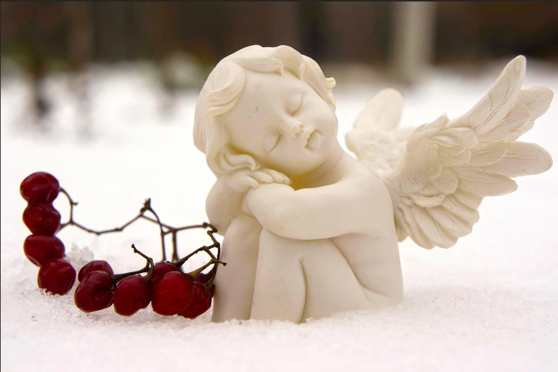 Baby angel fantasy wallpaper HD wallpaperNew HD wallpaper
