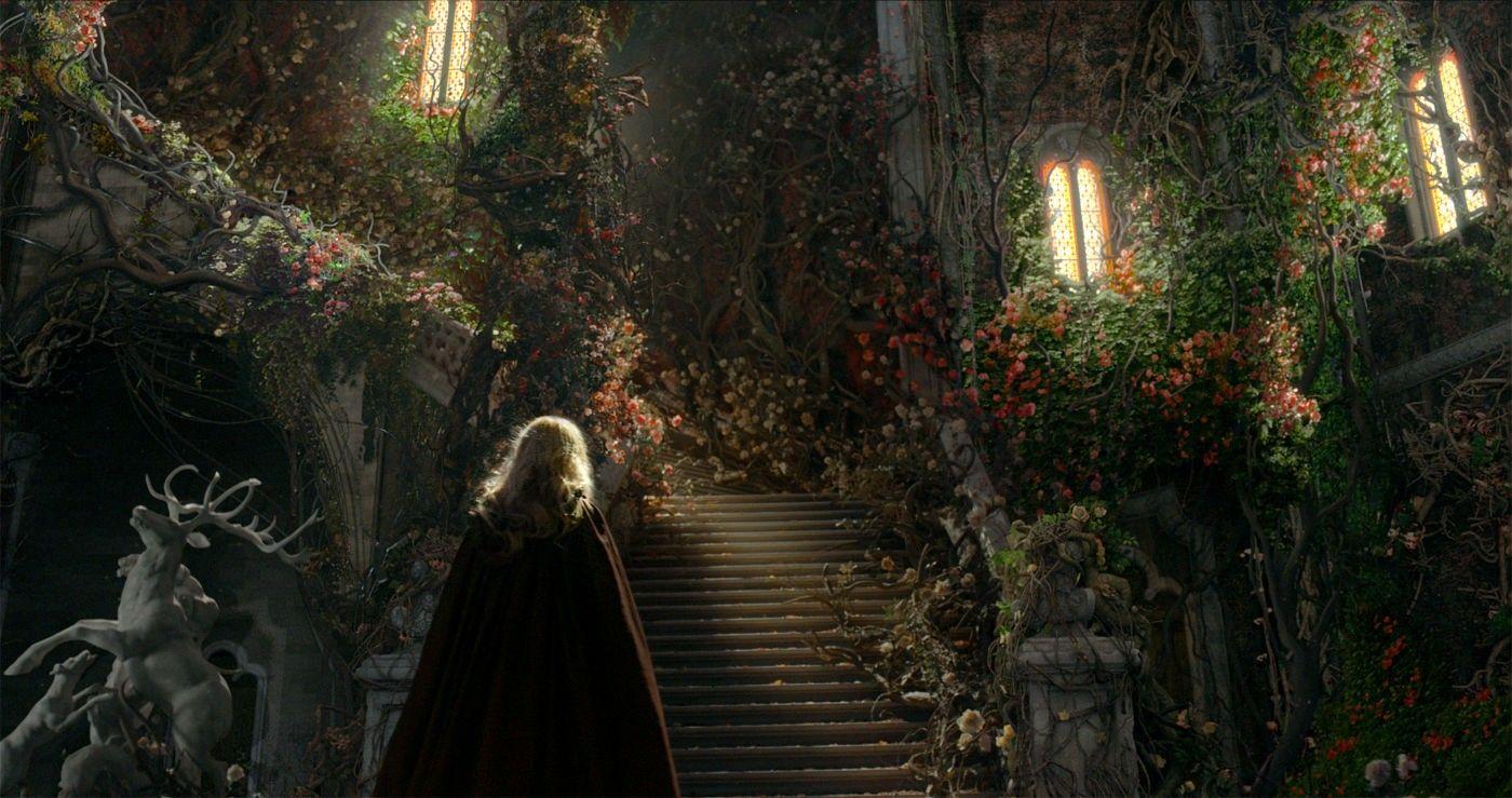 Beauty and the Beast HD Wallpaper