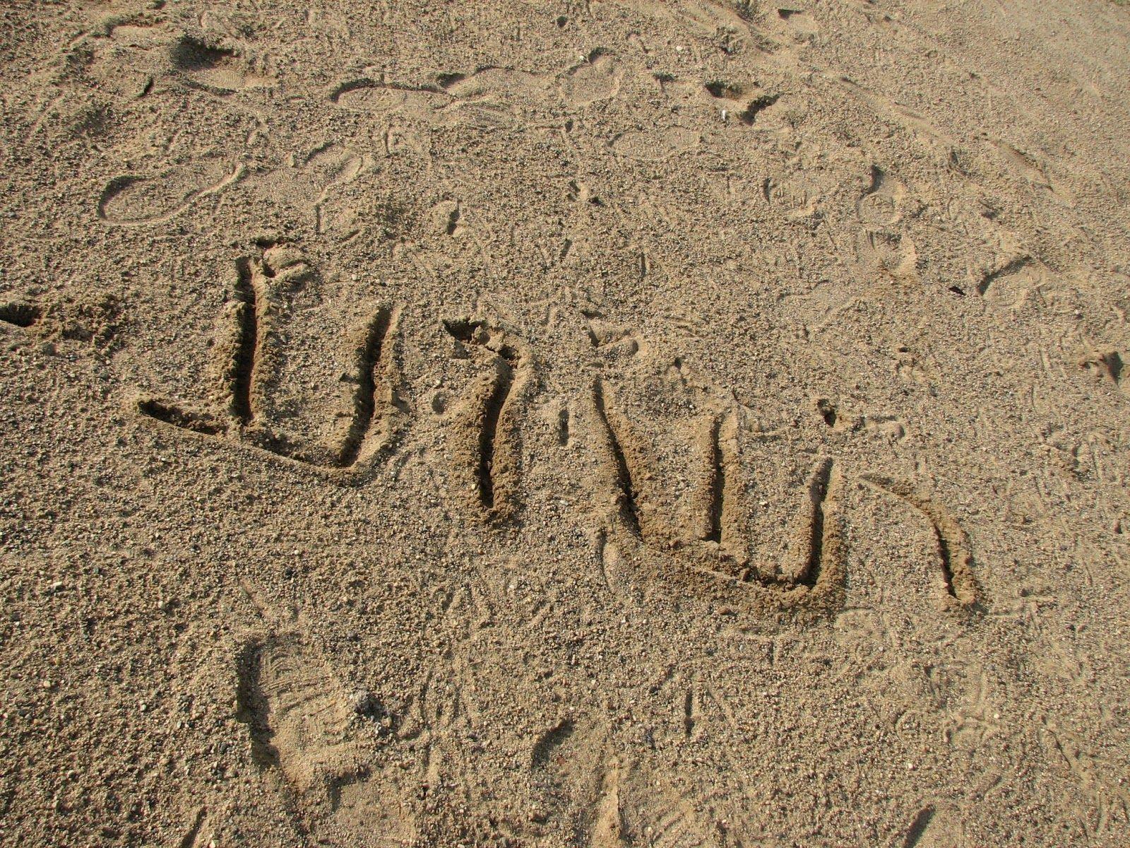 MESSIANIC MUSINGS: January 2013