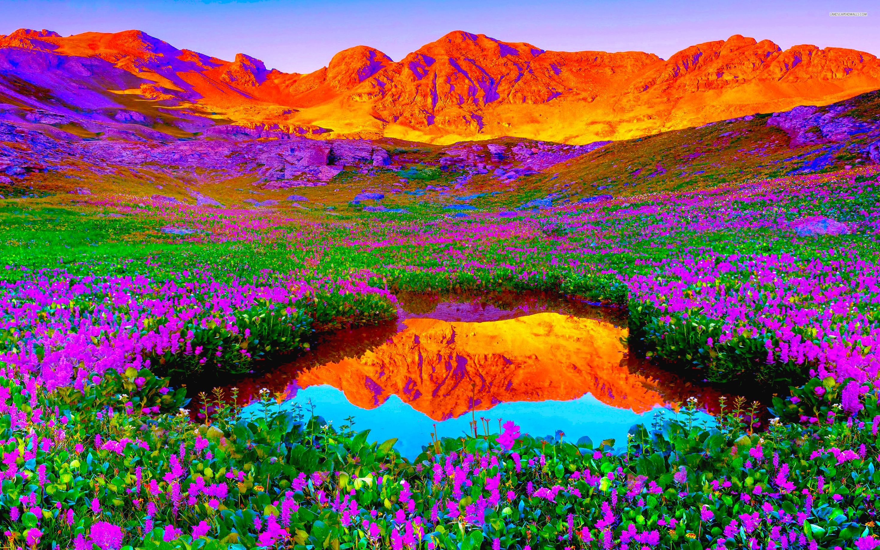 Vibrant Wallpapers Wallpaper Cave