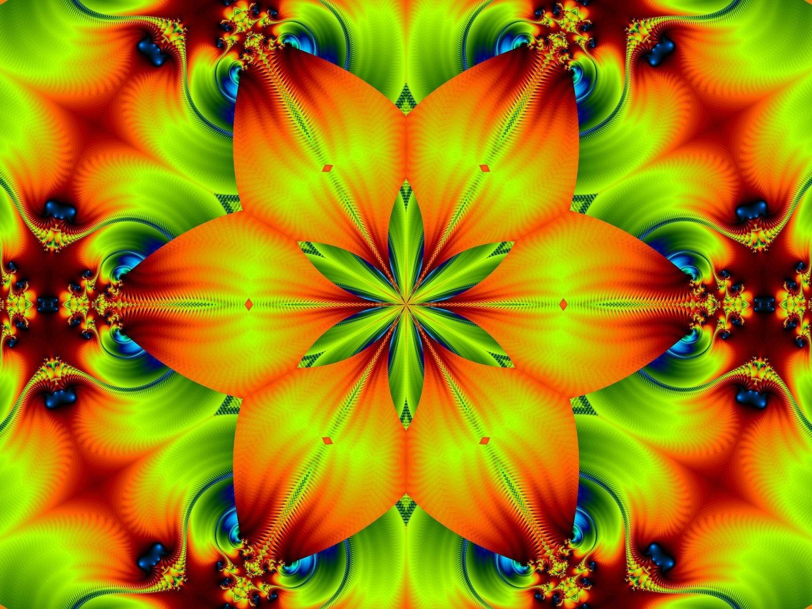 Flower: Fire Flower Splendid Vibrant Scenery Wallpaper HD 16:9 High