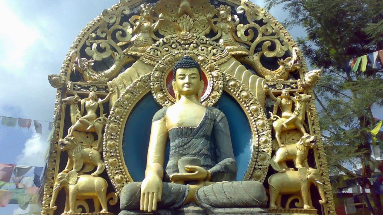 Good Morning Lord Buddha Whatsapp HD Image Wallpaper Photo Pics