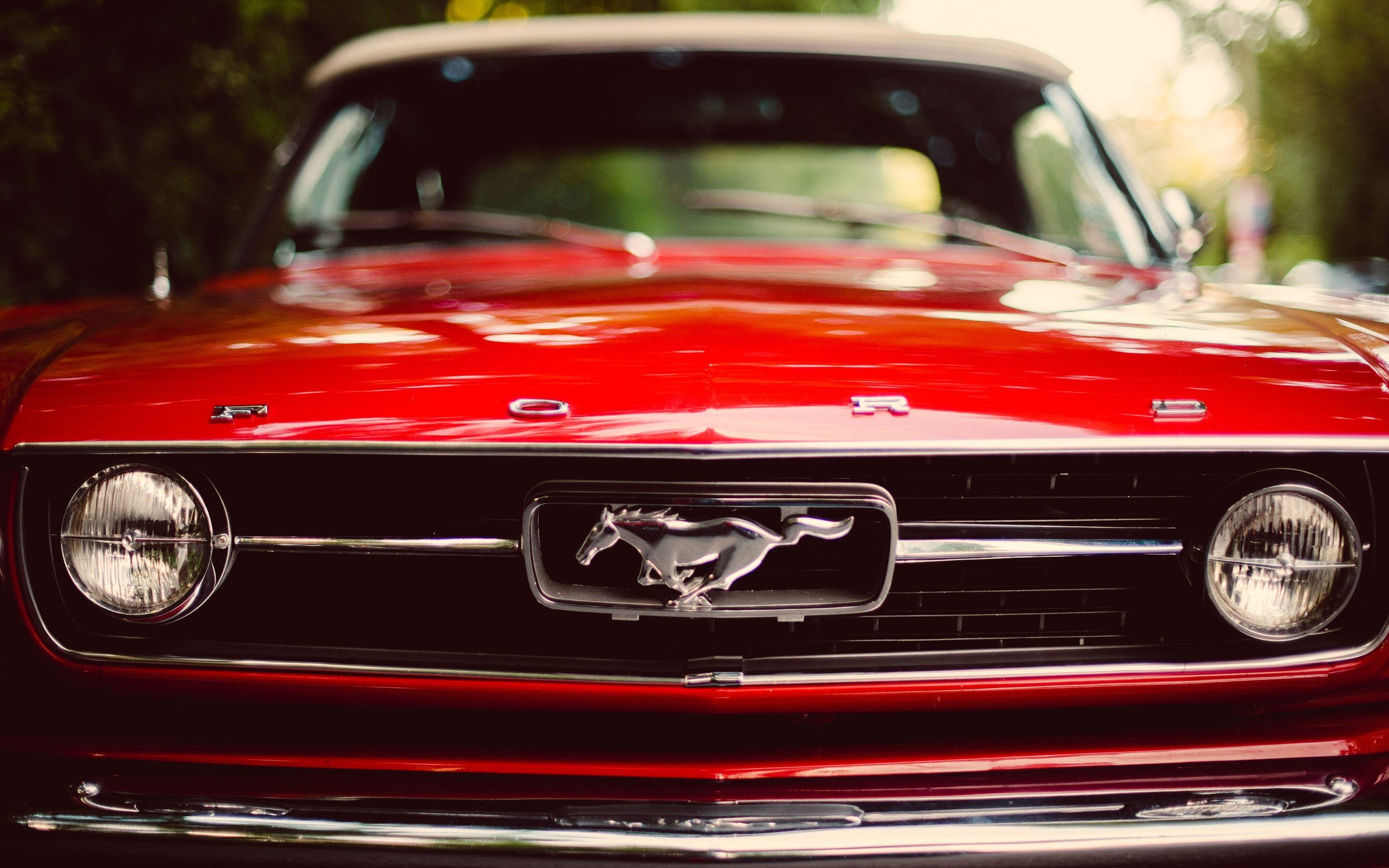 Red Ford Mustang 4k HD Wallpaper Cars Wallpaper