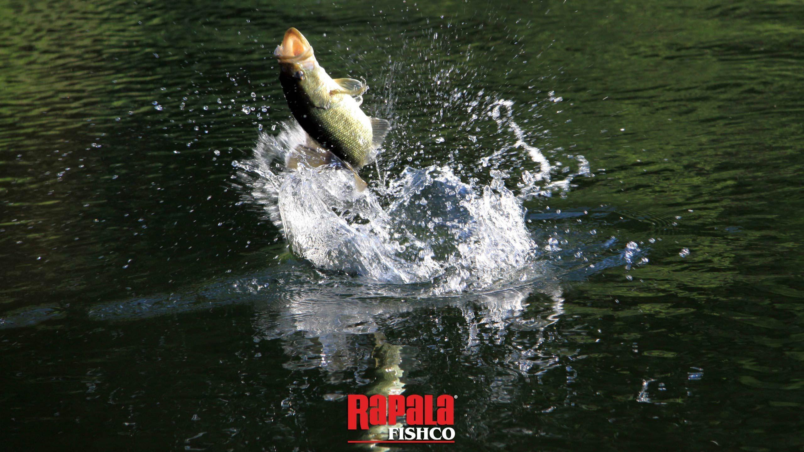Rapala Pro Bass Fishing Screenshots, Picture, Wallpaper 1366×768