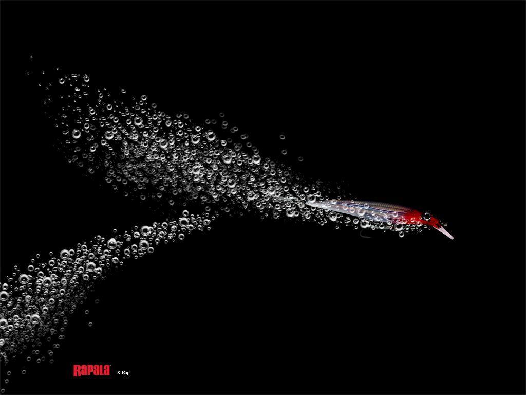Rapala Wallpaper Free DownloadD Wallpaperd
