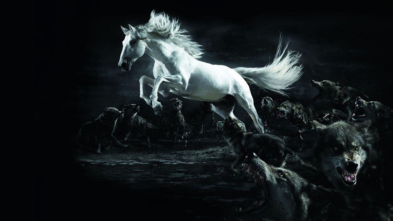 White Horse Wolf Wallpaper HD WallpaperD & Abstract Wallpaper