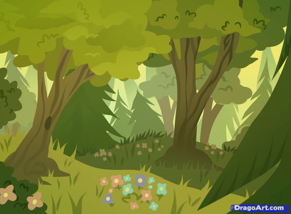 Forests, Forest Background, Step by Step, Landscapes