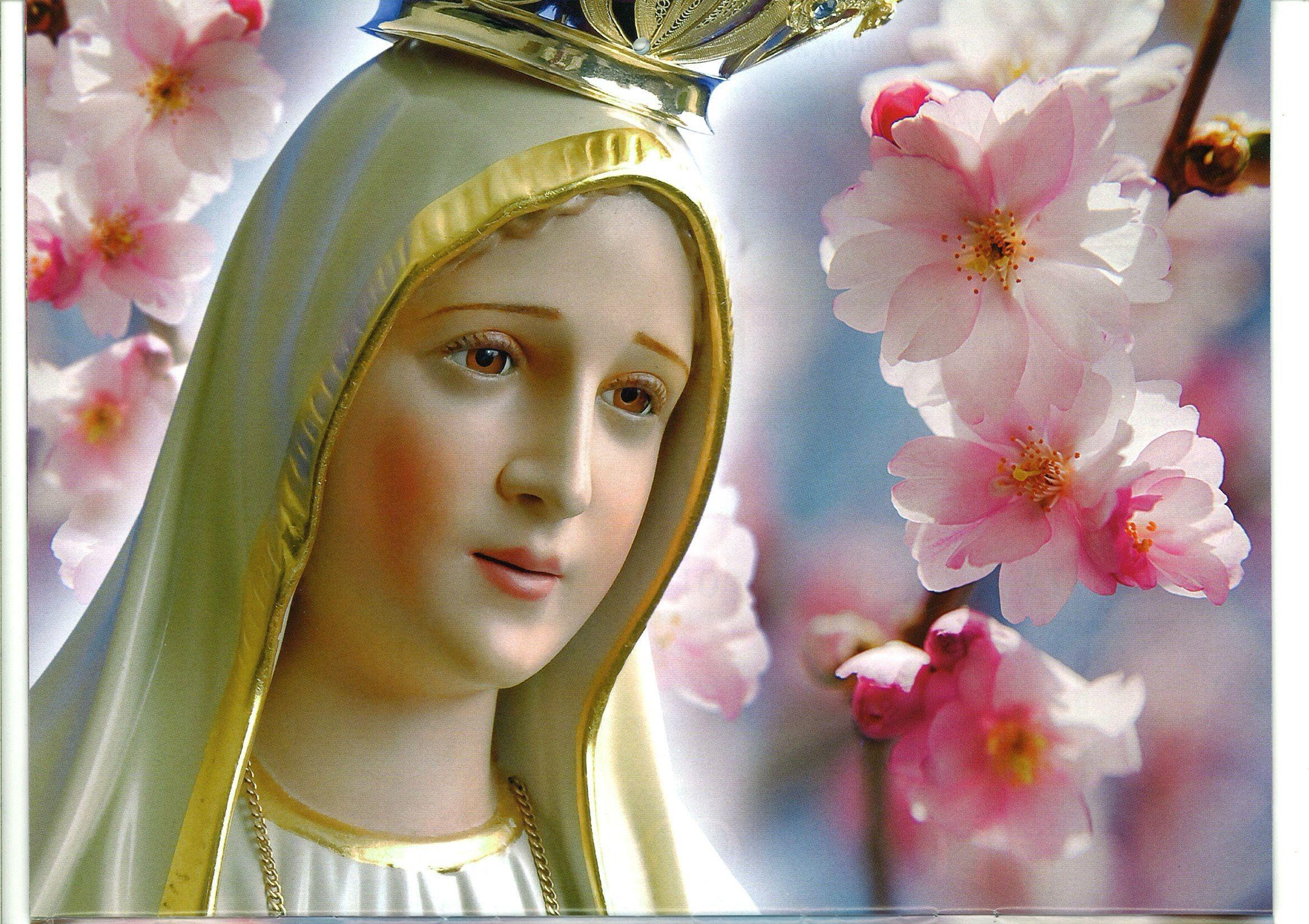 97+] Mother Mary Heart Mobile Wallpapers - WallpaperSafari