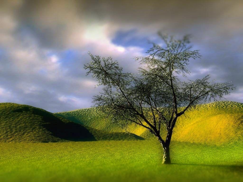 Santabanta Nature Wallpaper Image