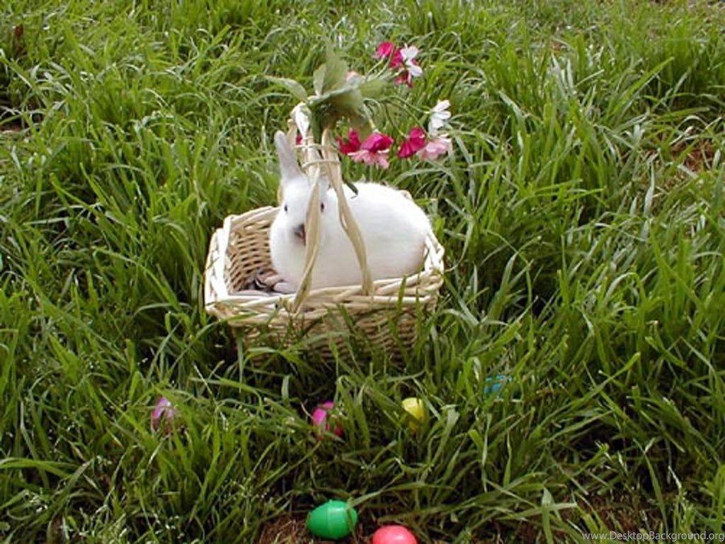 Santa Banta Wallpaper Nature Desktop Background