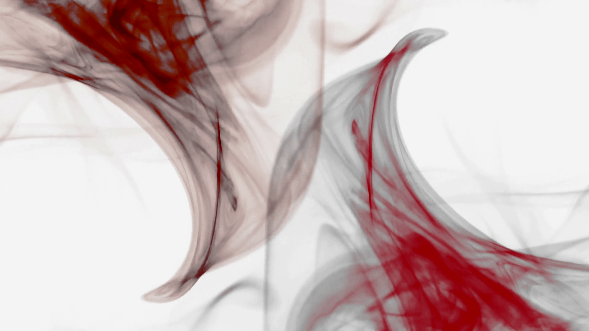 Red And White Backgrounds Wallpaper Cave