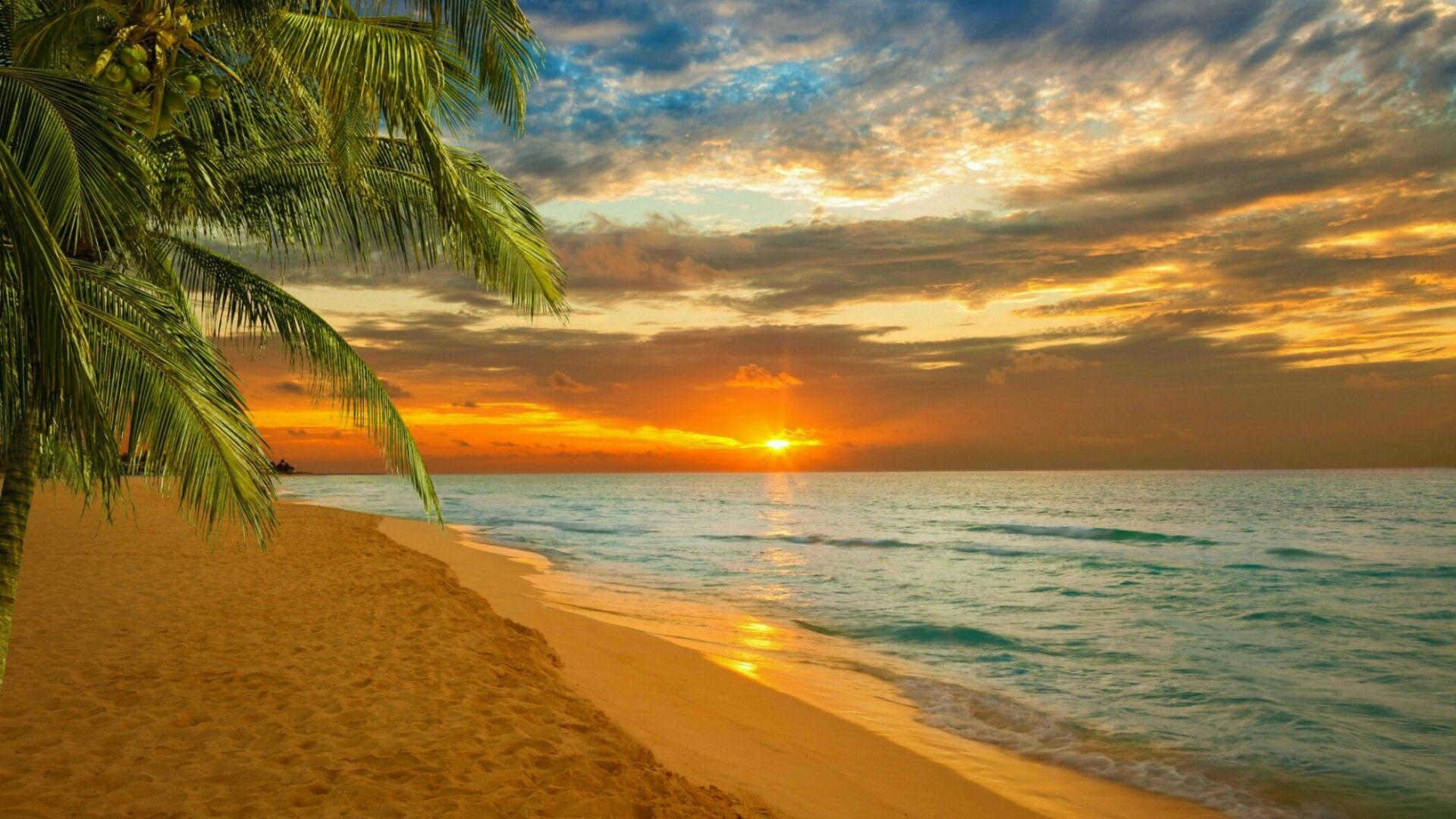 Tropical Paradise Wallpaper 4k