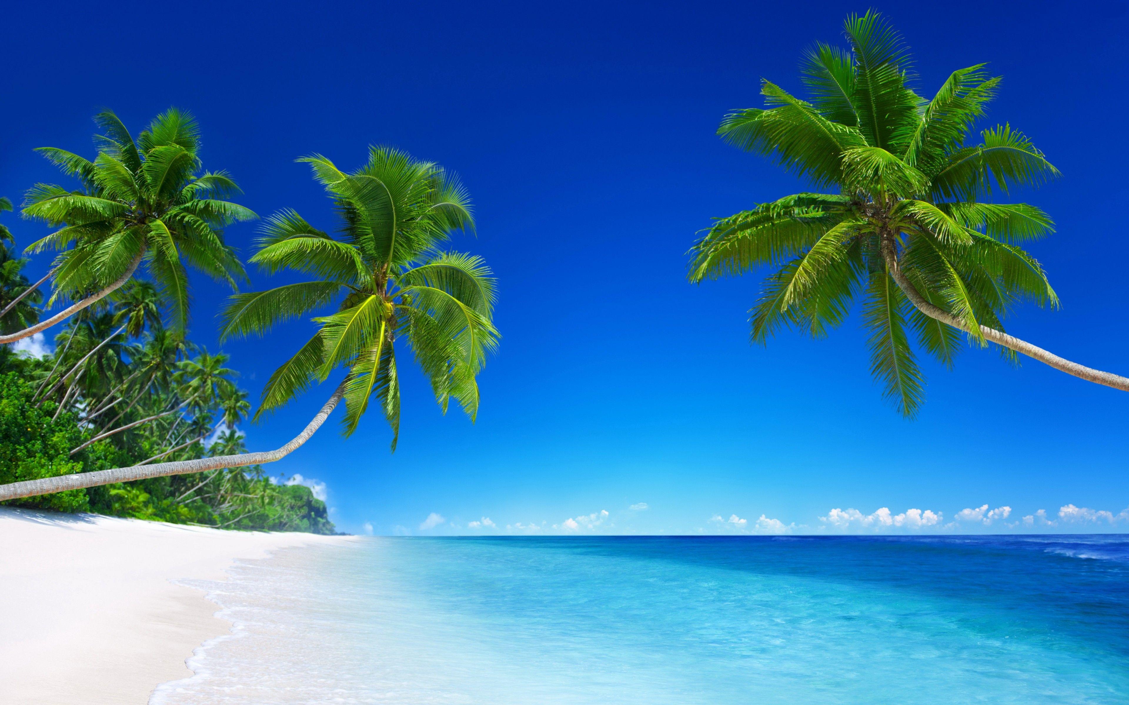 Tropical Beach Paradise 5K Wallpaper