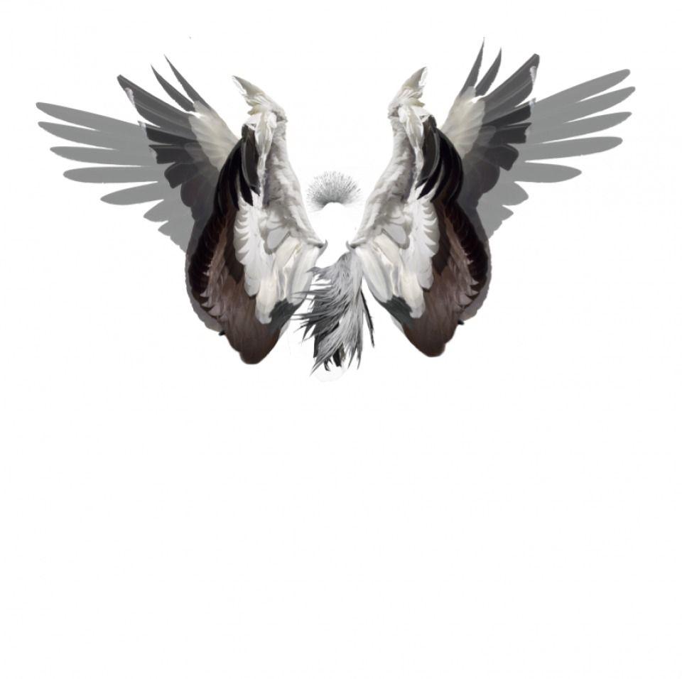 Image result for alexander mcqueen desktop wallpaper