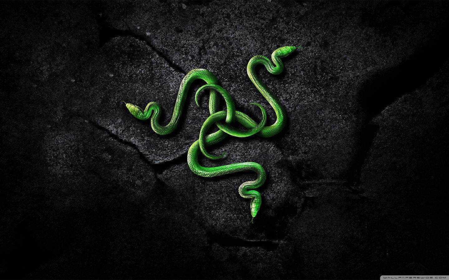 WallpaperWide.com ❤ Razer HD Wallpaper for 4K Ultra HD TV Wide