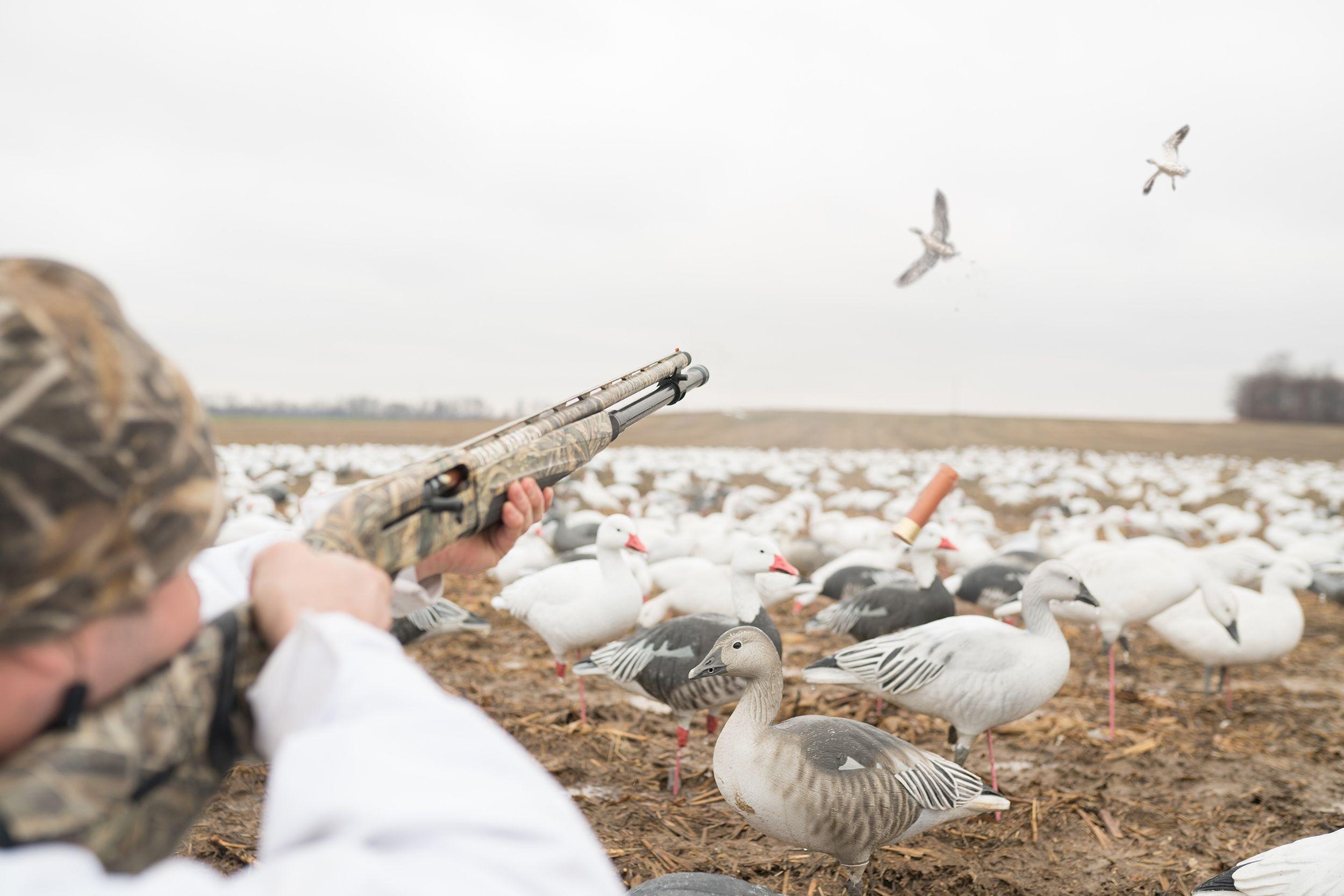 Duck Hunting and the Weather: What's the forecast for success?