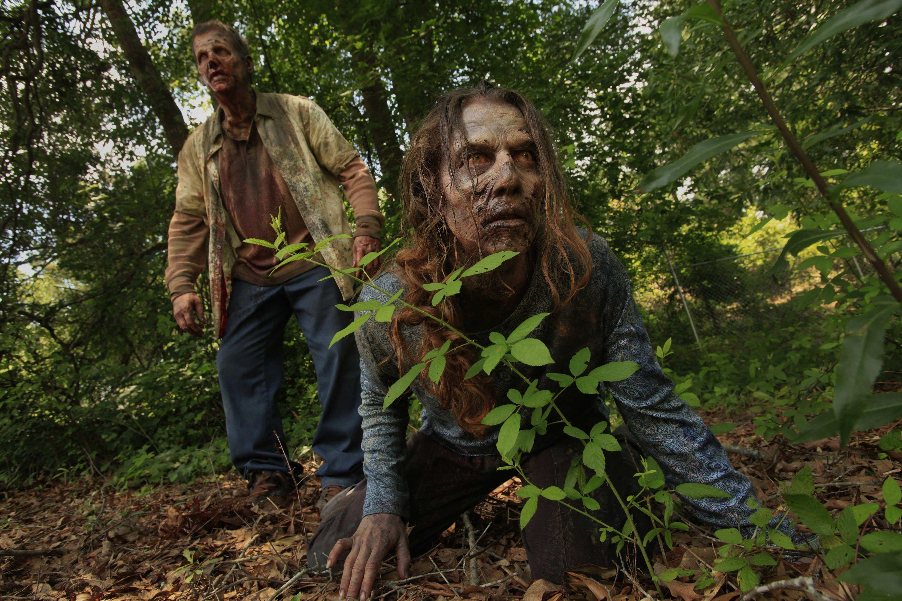 TV Show Walking Dead Wallpaper. Zombie