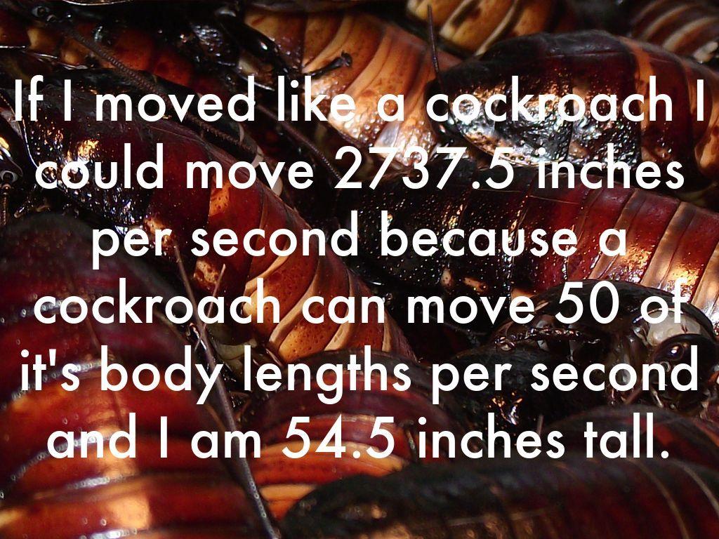 If You Could Pull Like a Bee by varun.a.ramesh