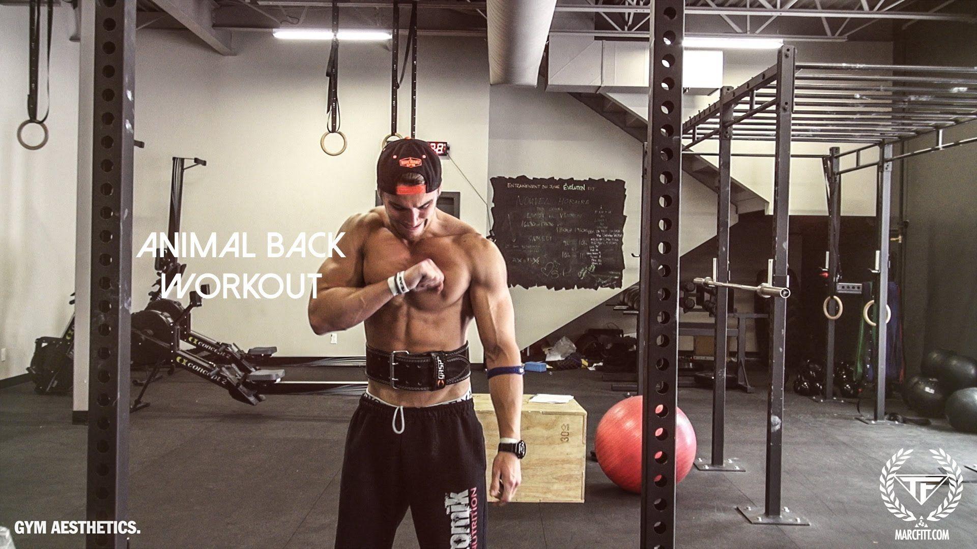 ANIMAL BACK WORKOUT! Marcfitt.com