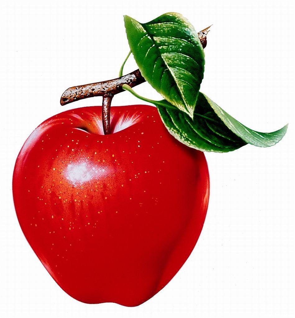 Free Desktop Background Wallpaper: Delicious apple fruit wallpaper