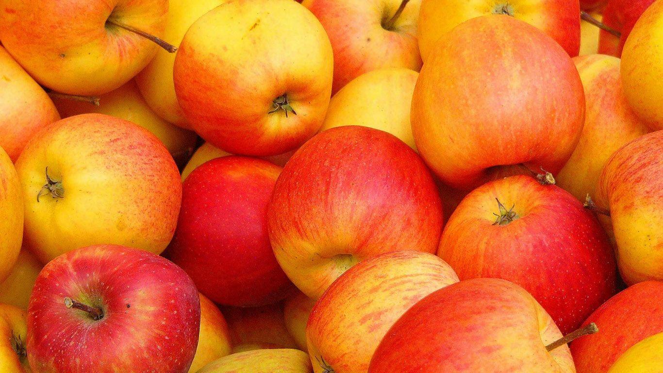 red apple fruit HD image wallpaper