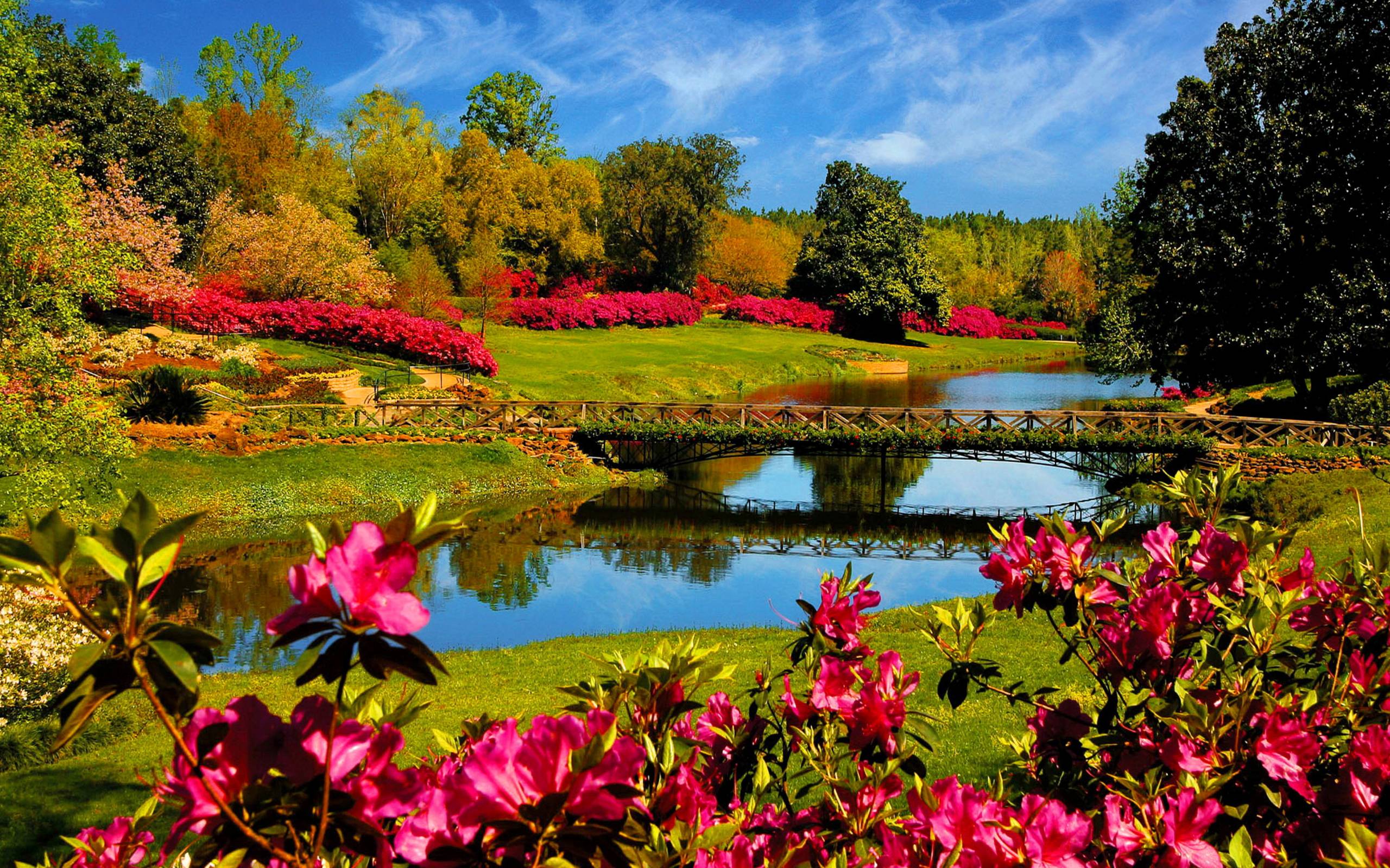 Nice HD Wallpaper from landscapes in the Spring season