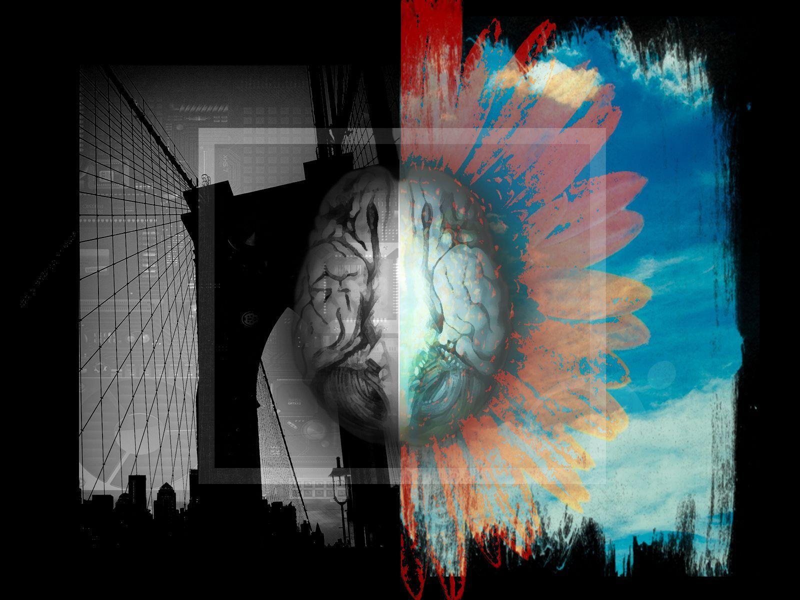 John Zafra Left Brain Right Brain High Quality Wallpaper. HD