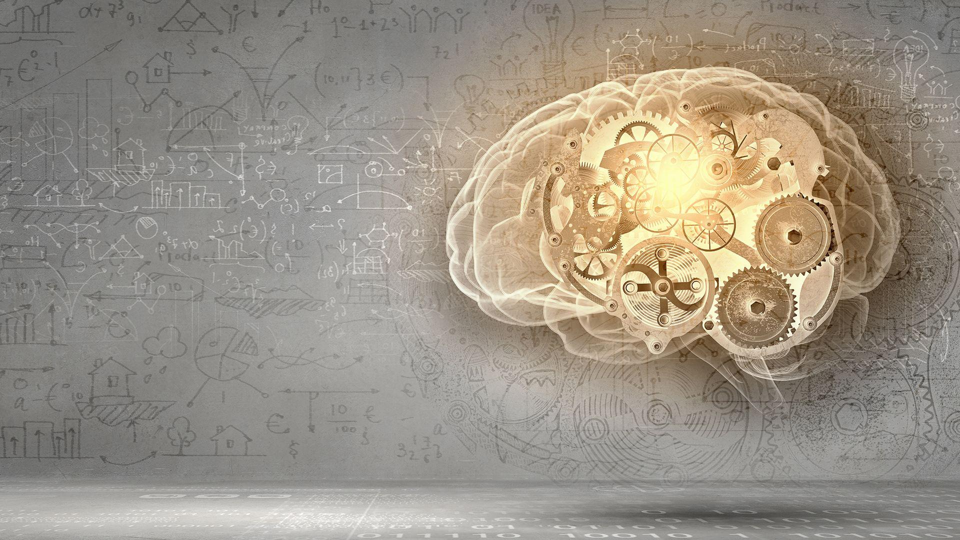 Mixing Right and Left Brain Thinking in Email Marketing. eliteemail