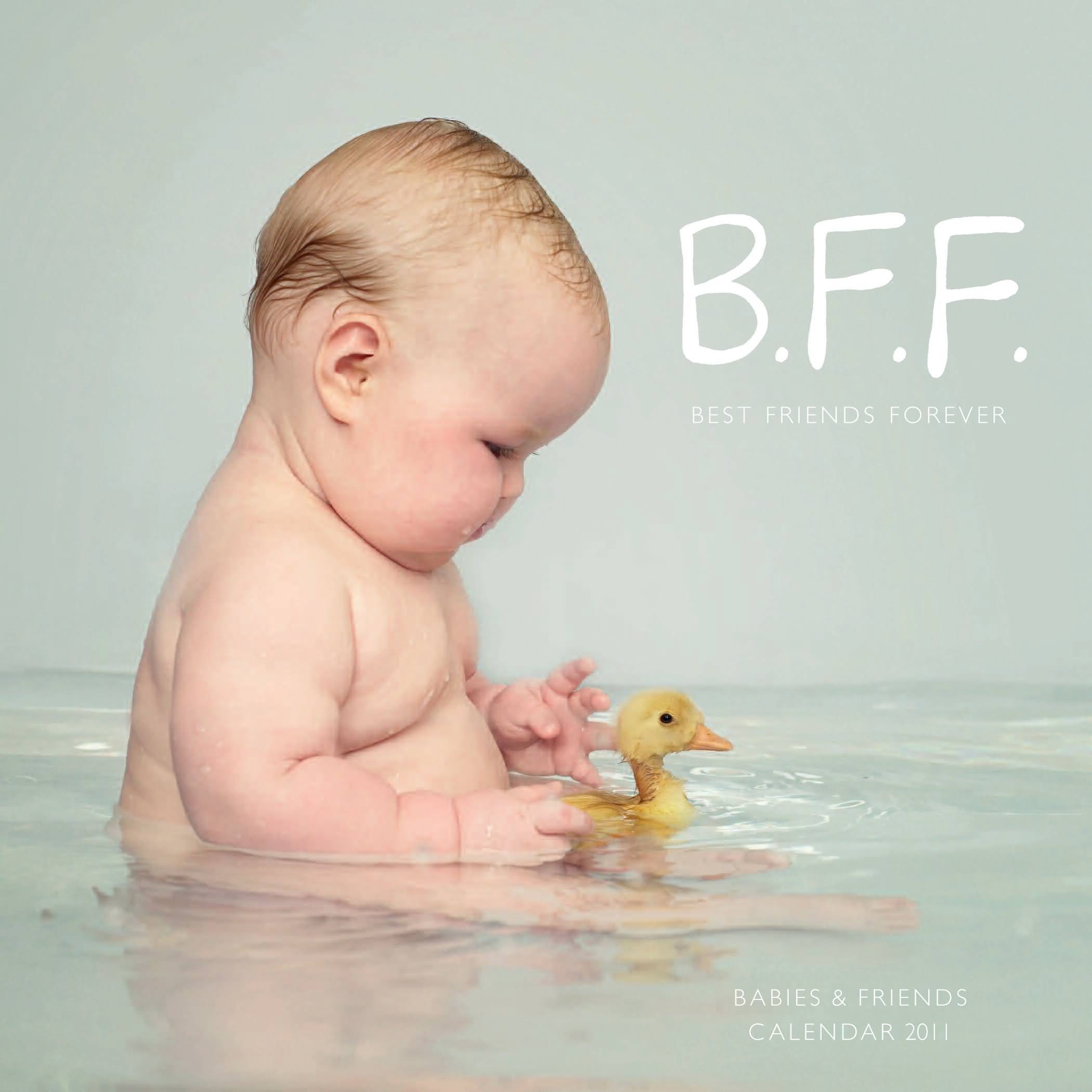 Cute Baby Duck BFF Best Friend Forever HD Wallpaper