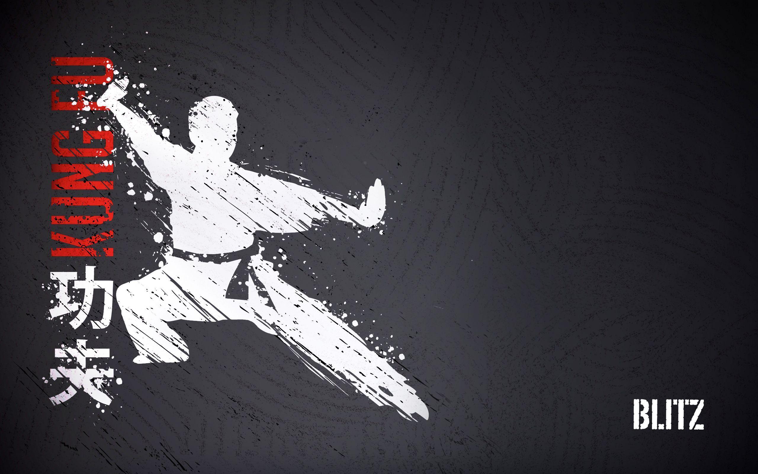 Blitz Kickboxing Wallpaper (2560 x 1600). Martial Arts Wallpaper