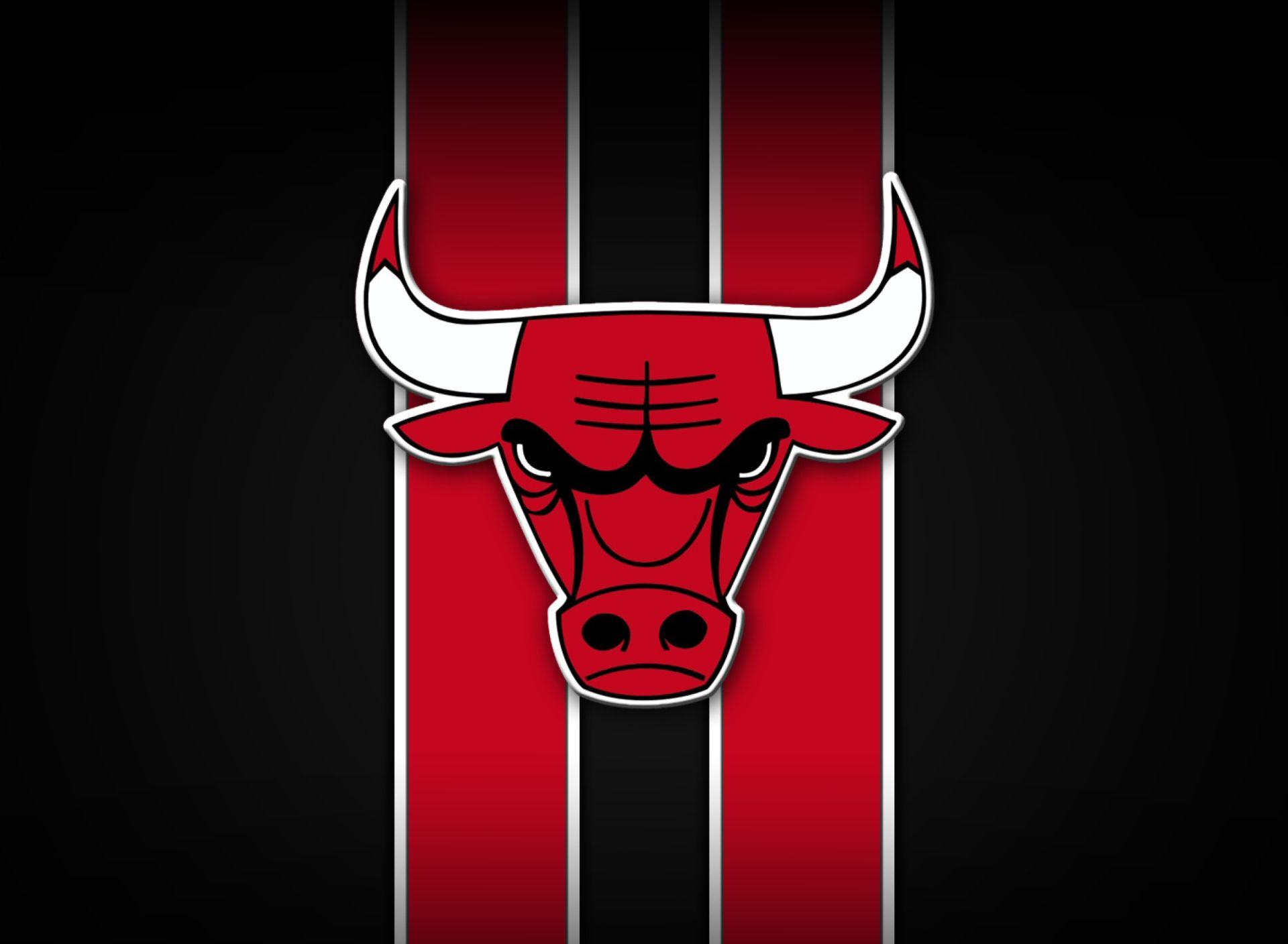 Chicago Bulls Wallpaper Collection For Free Download. HD Wallpaper