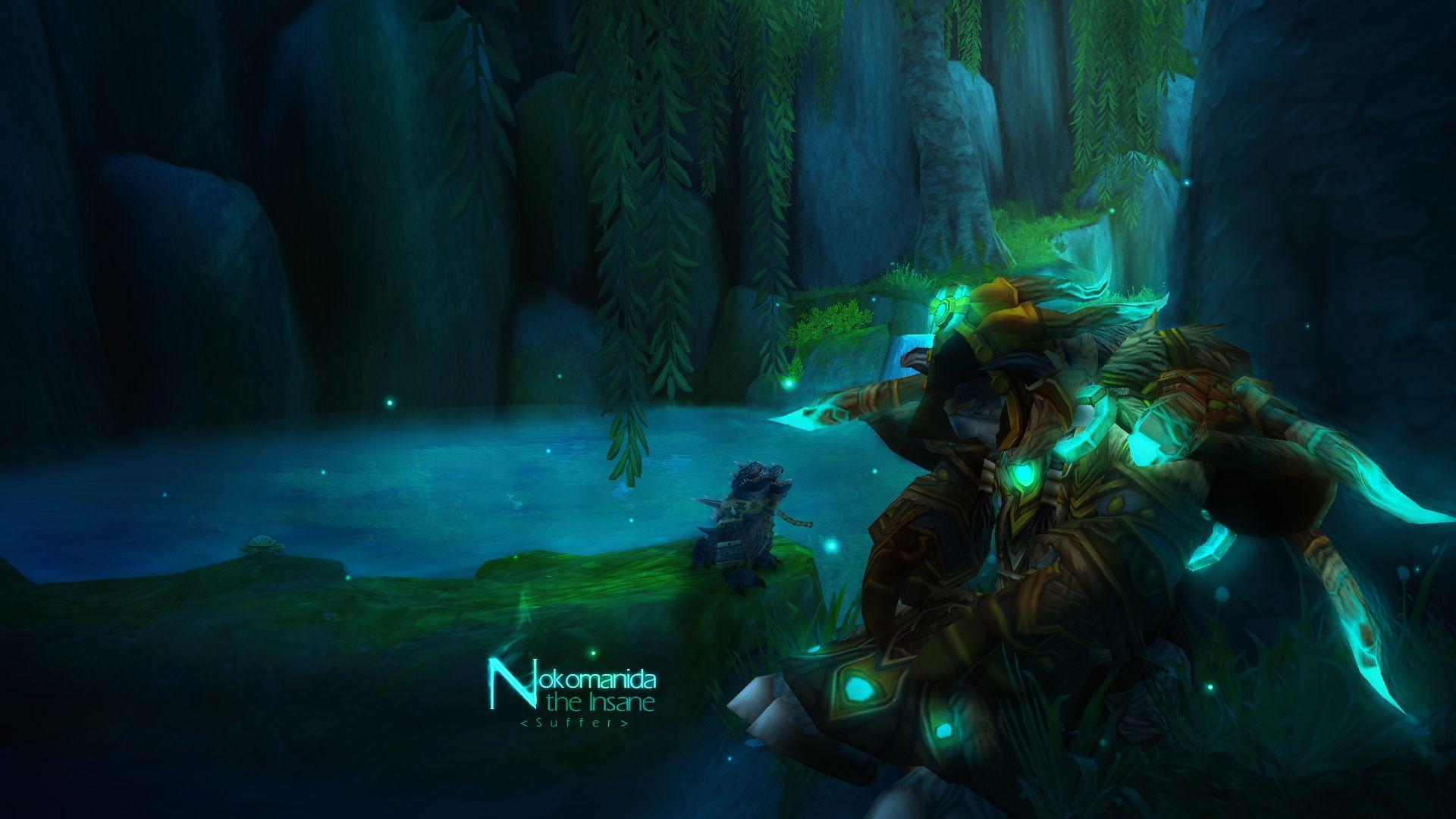 World Of Warcraft Druid Wallpaper 1920x1080