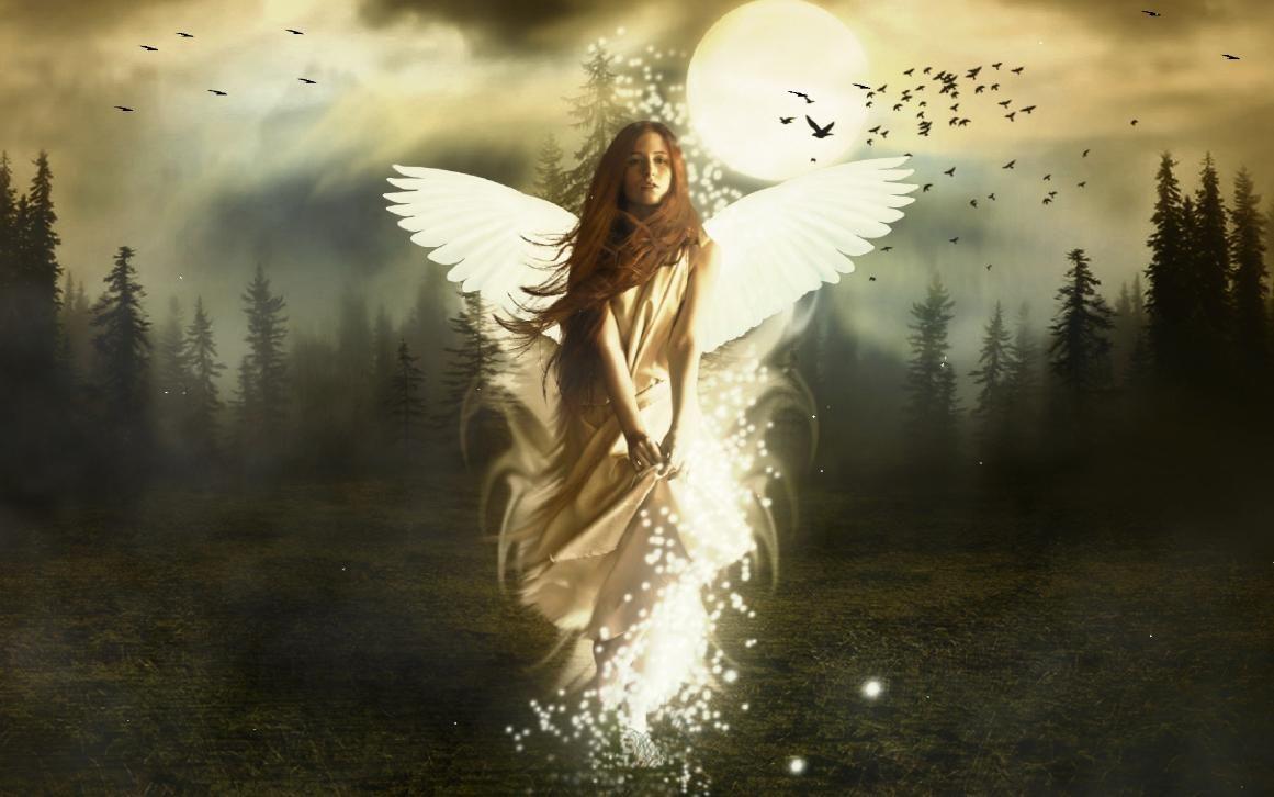 Free Angel Picture. angel animated wallpaper download screensaver