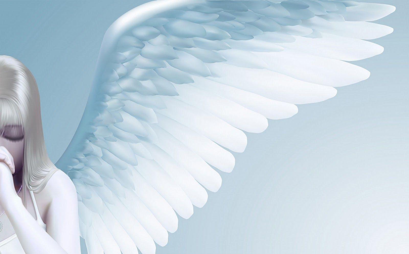 New Angel Desktop Wallpaper HD FULL HD 1080p For PC Background