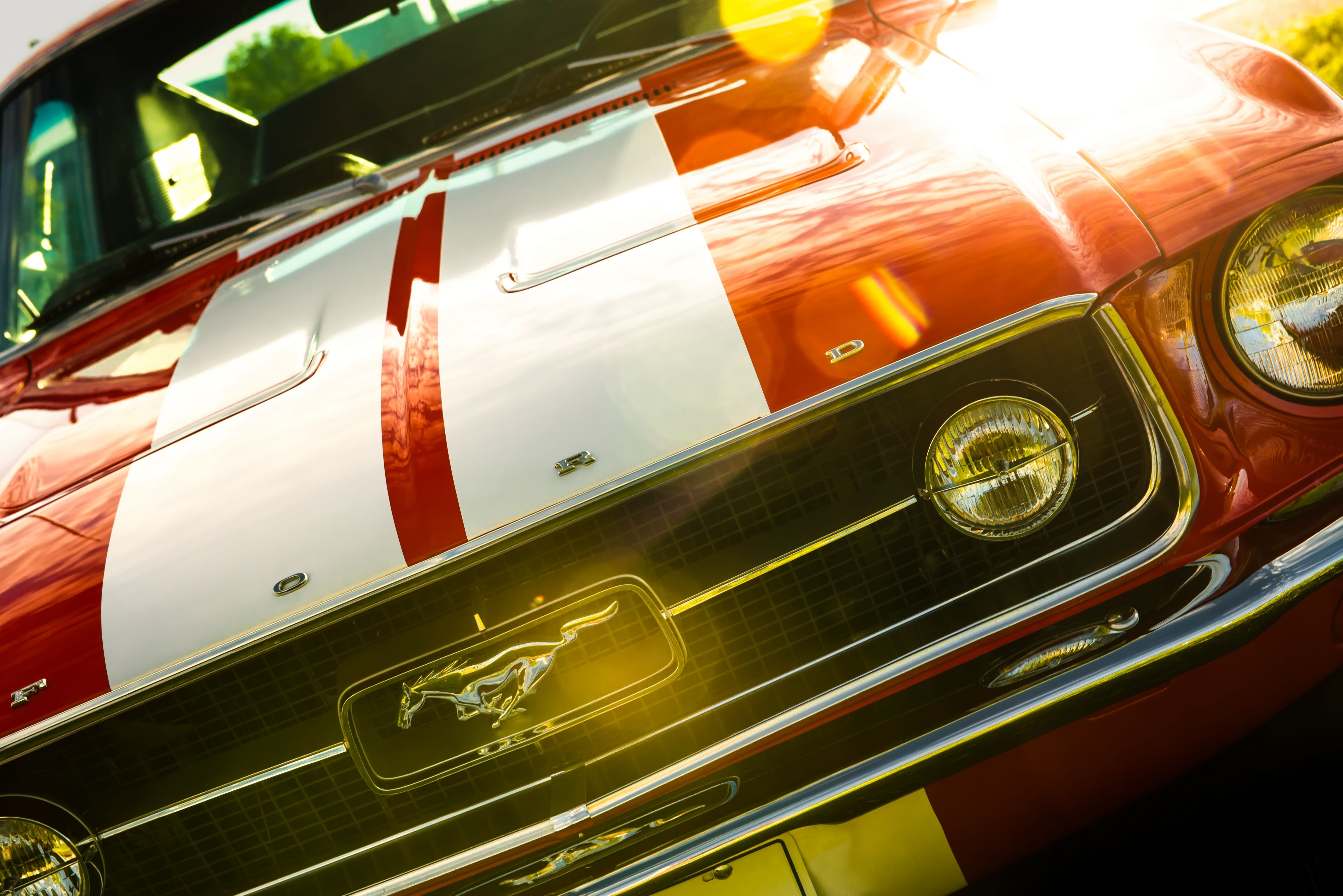 Wallpaper Ford mustang, Fastback, 1967, Bumper HD, Picture, Image