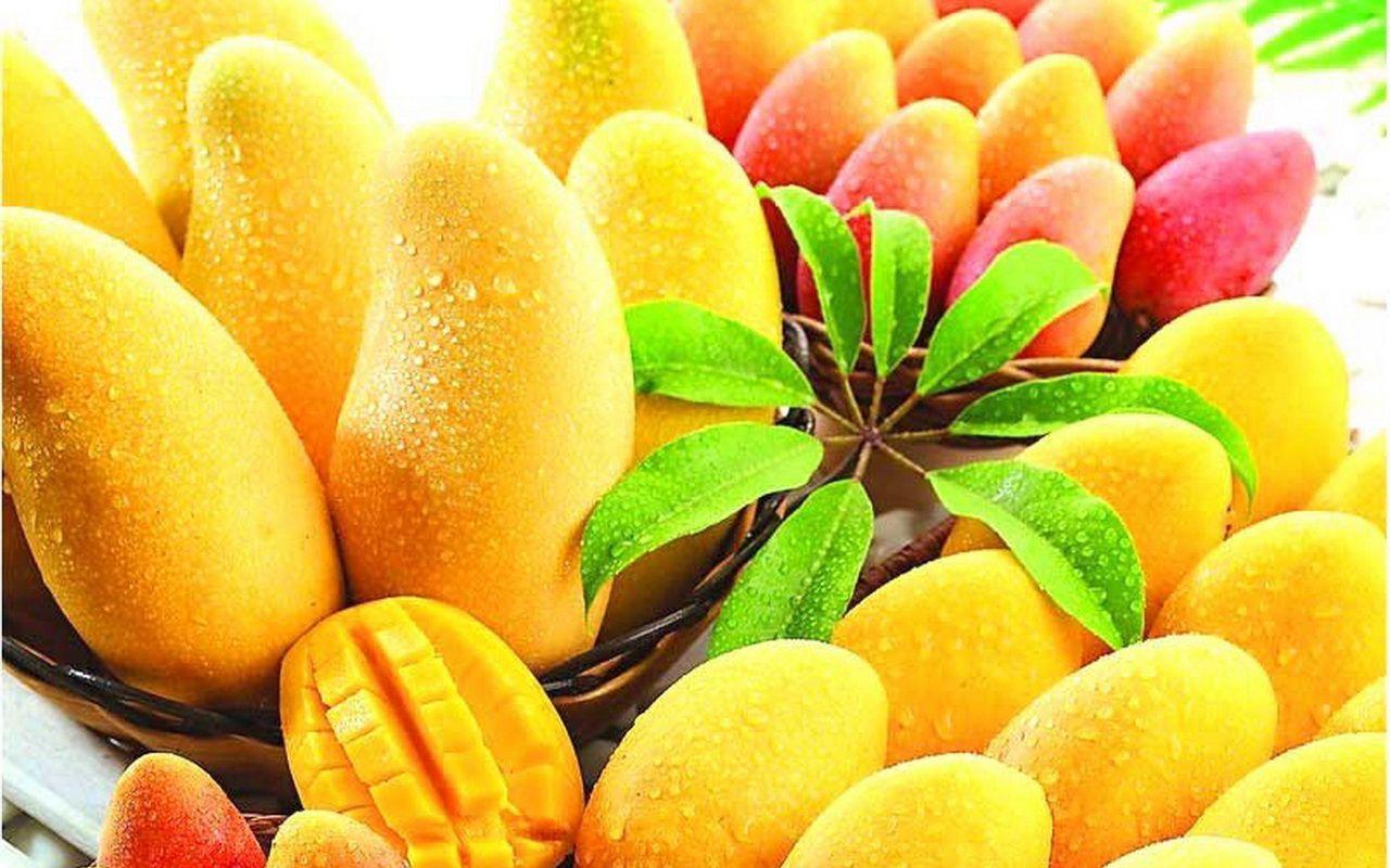 Mango Juice Wallpaper 08469 - Baltana