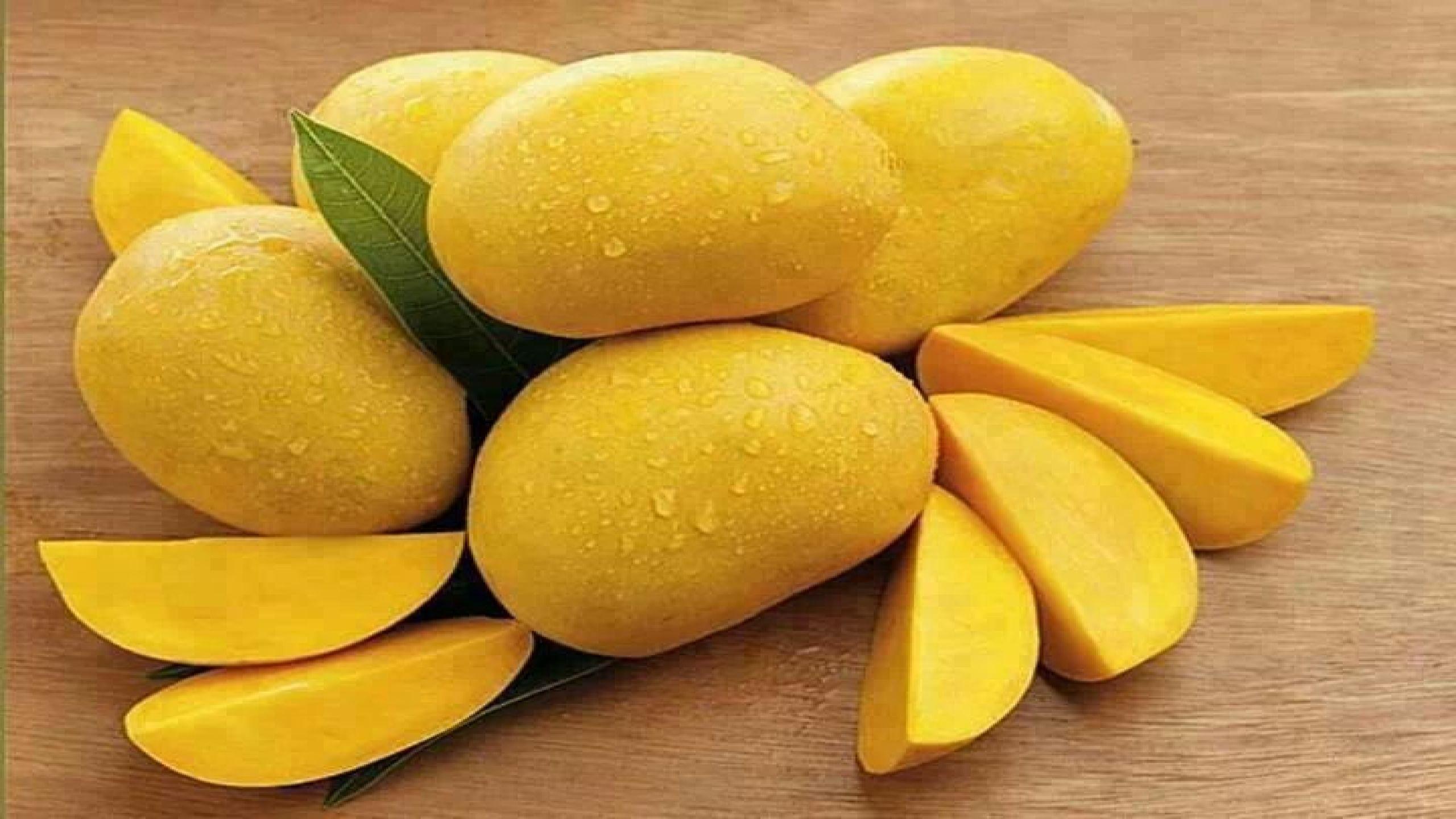 Mango Fruit Wallpaper Free Download