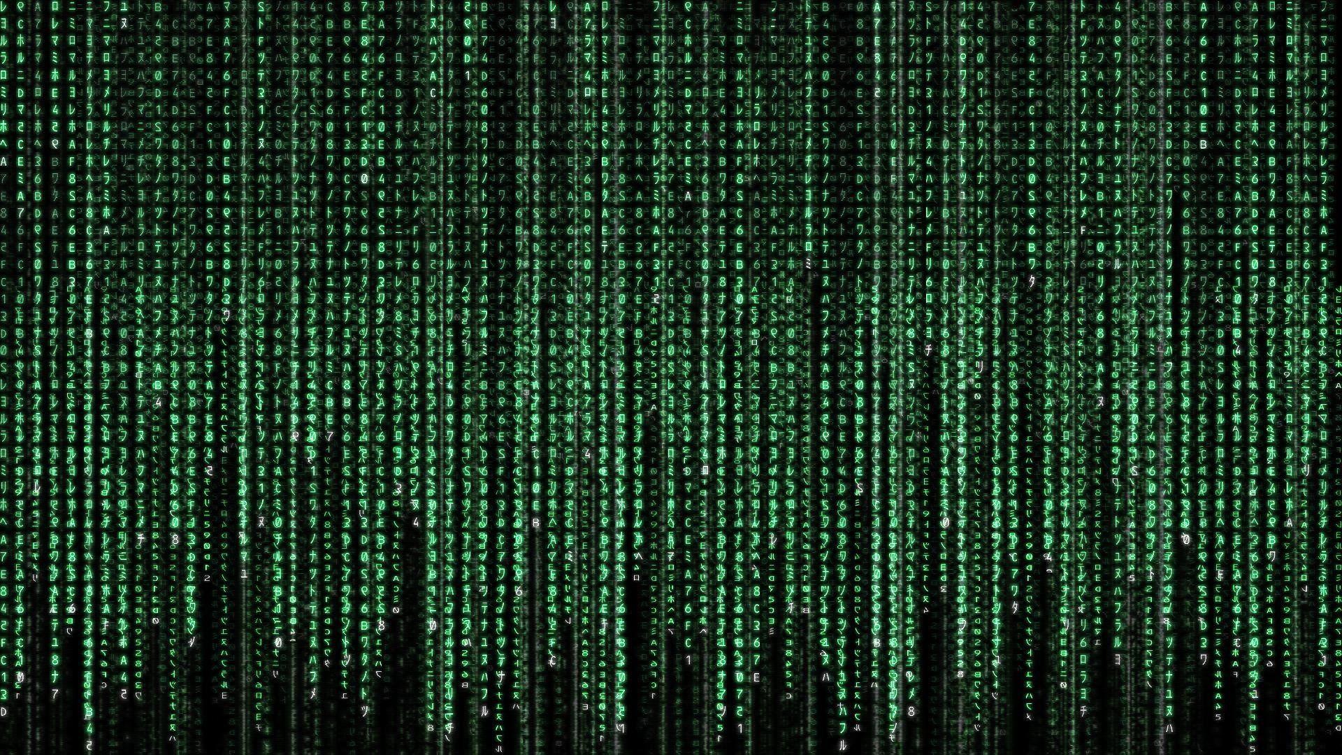 HD wallpaper matrix code The Matrix movies data cyberspace technology   Wallpaper Flare