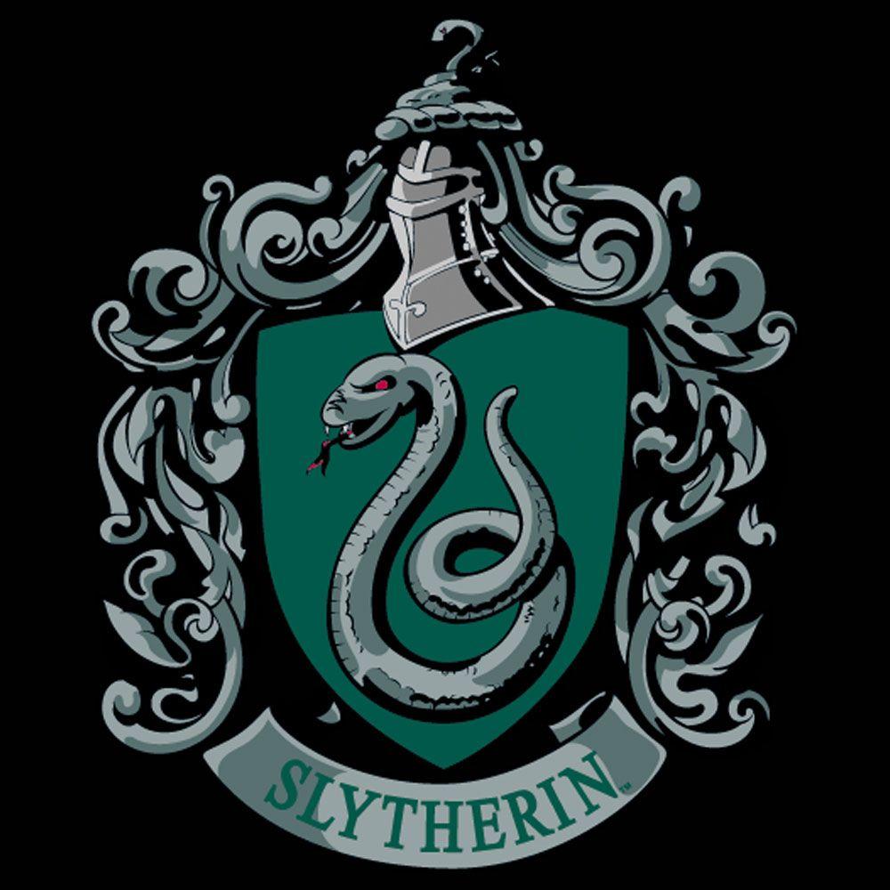 What Hogwarts House should win the house cup?
