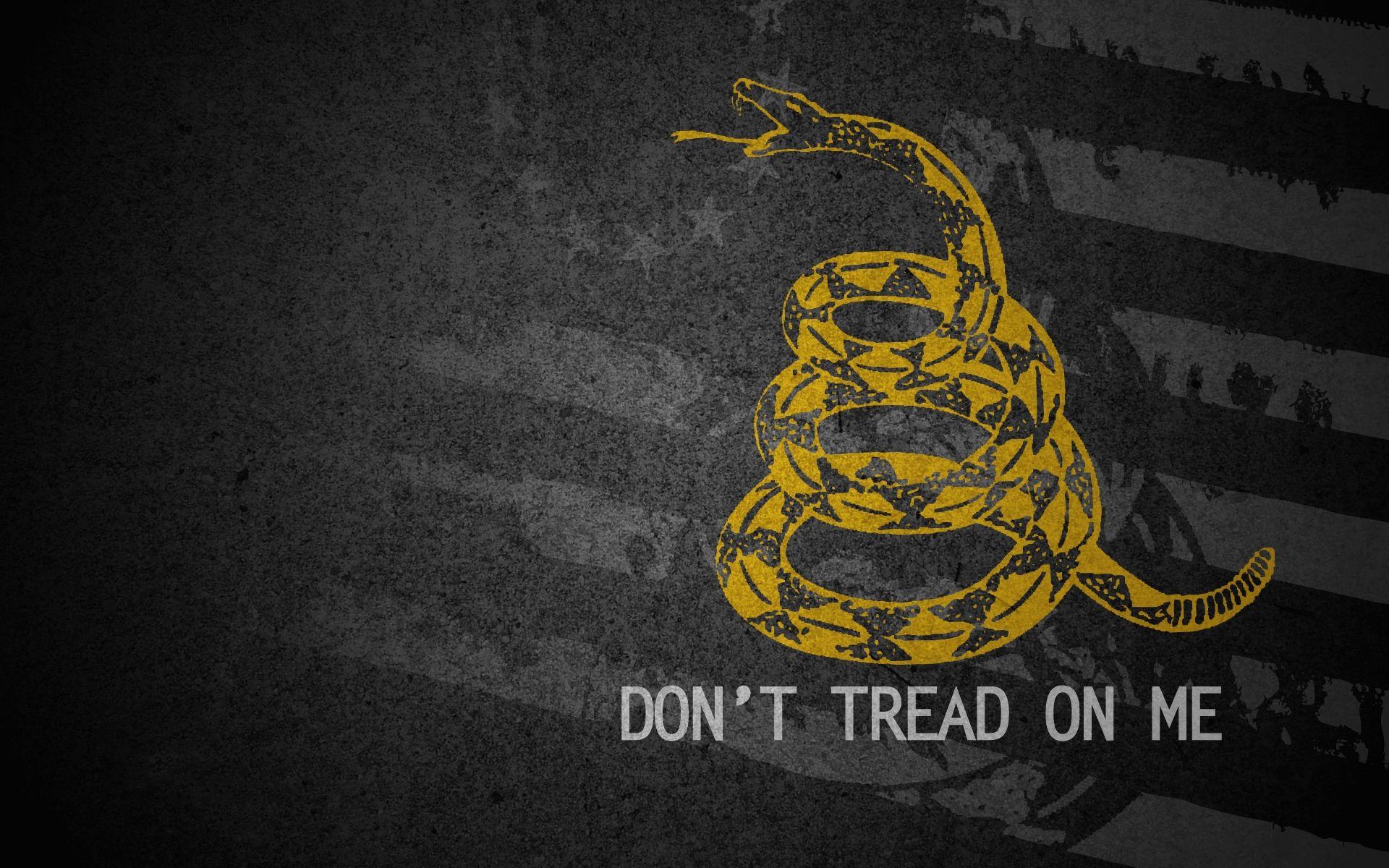 metallica snakes black album gadsden flag 1920x1200 wallpaper High